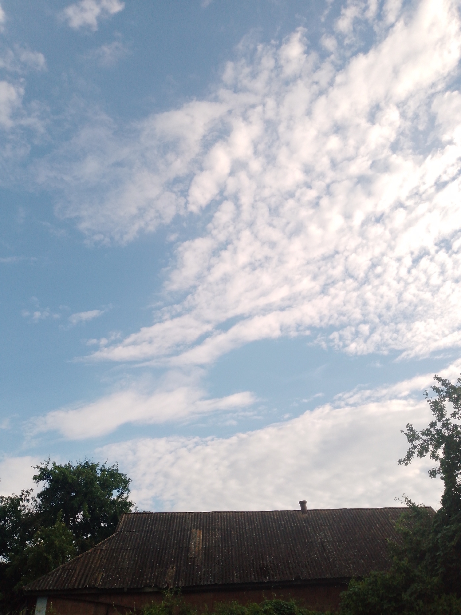 The image shows a cloudy sky above a dark, corrugated roof of a building, likely a house or shed. Trees and foliage surround the lower portion of the image, partially obscuring the building. A small, cylindrical chimney is visible on the roof. The scene appears to be set in a rural or semi-rural environment, consistent with locations in Ustyvytsia, Ukraine. There are no people or animals visible. The overall impression is that of an ordinary outdoor scene.