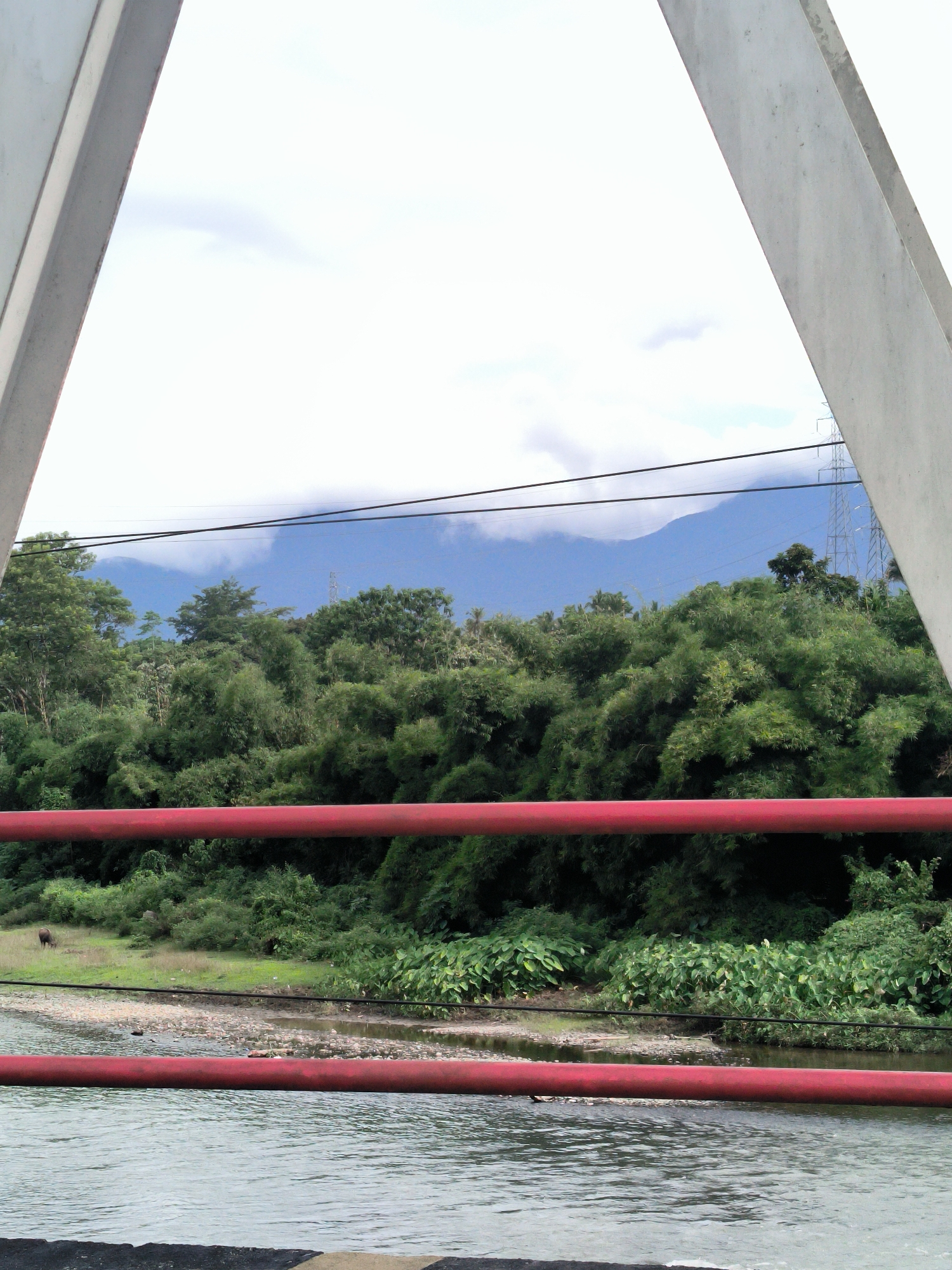 The image captures a vibrant natural landscape in Bandasafa, Indonesia, viewed from what appears to be a bridge. The foreground is dominated by a flowing river or stream with gentle ripples, bordered by a rocky and grassy bank. On the left side of the bank, a dark animal, possibly a cow or buffalo, is visible grazing.
Two horizontal red railings of the bridge extend across the middle and lower parts of the frame, serving as a visual barrier. Parts of the bridge's structural elements, made of concrete or painted metal, frame the top section of the image, appearing on the far left and right.
Beyond the river, a dense and lush expanse of green vegetation, including numerous trees and bushes, covers the mid-ground and extends into the background. In the distance, majestic blue mountains rise, their peaks partially obscured by white clouds, suggesting a cloudy but bright daytime sky. Several black power lines traverse the scene horizontally in the upper-mid section, and a metal electricity pylon can be faintly seen on the far right, partially hidden by the dense foliage. There is no visible text in the image.