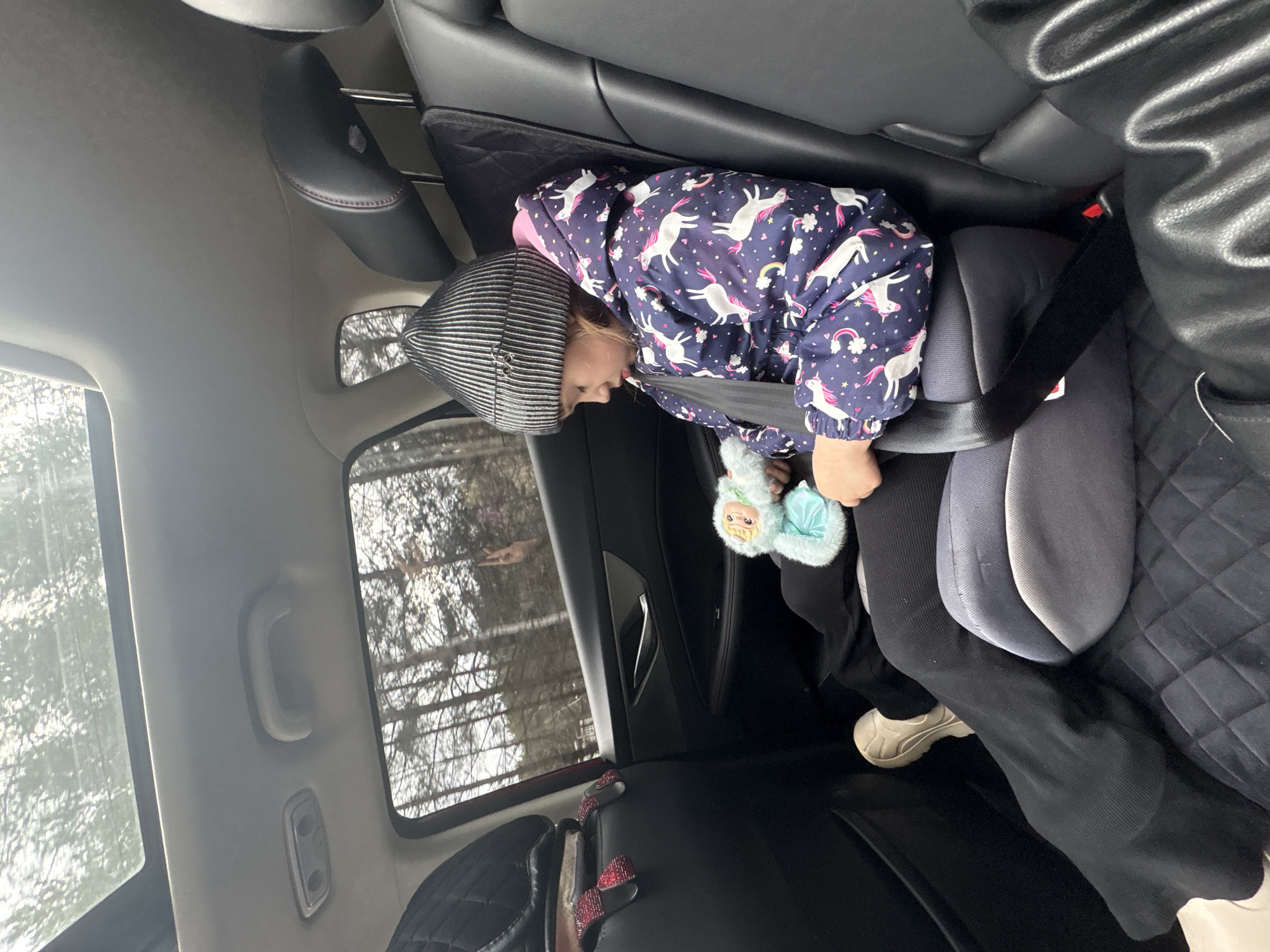 A child wearing a navy unicorn-patterned puffer jacket and a black and white striped hat is secured in a car seat in the back of a vehicle. The child holds a blue and white plush toy. The child is restrained by a seat belt. A car window shows bare trees and the interior of the car including a car door, handle, and quilted seat cover. While the picture was taken in a vehicle, there is not enough surrounding environment context to determine with certainty whether it was taken in Chaikovsky, Russia.