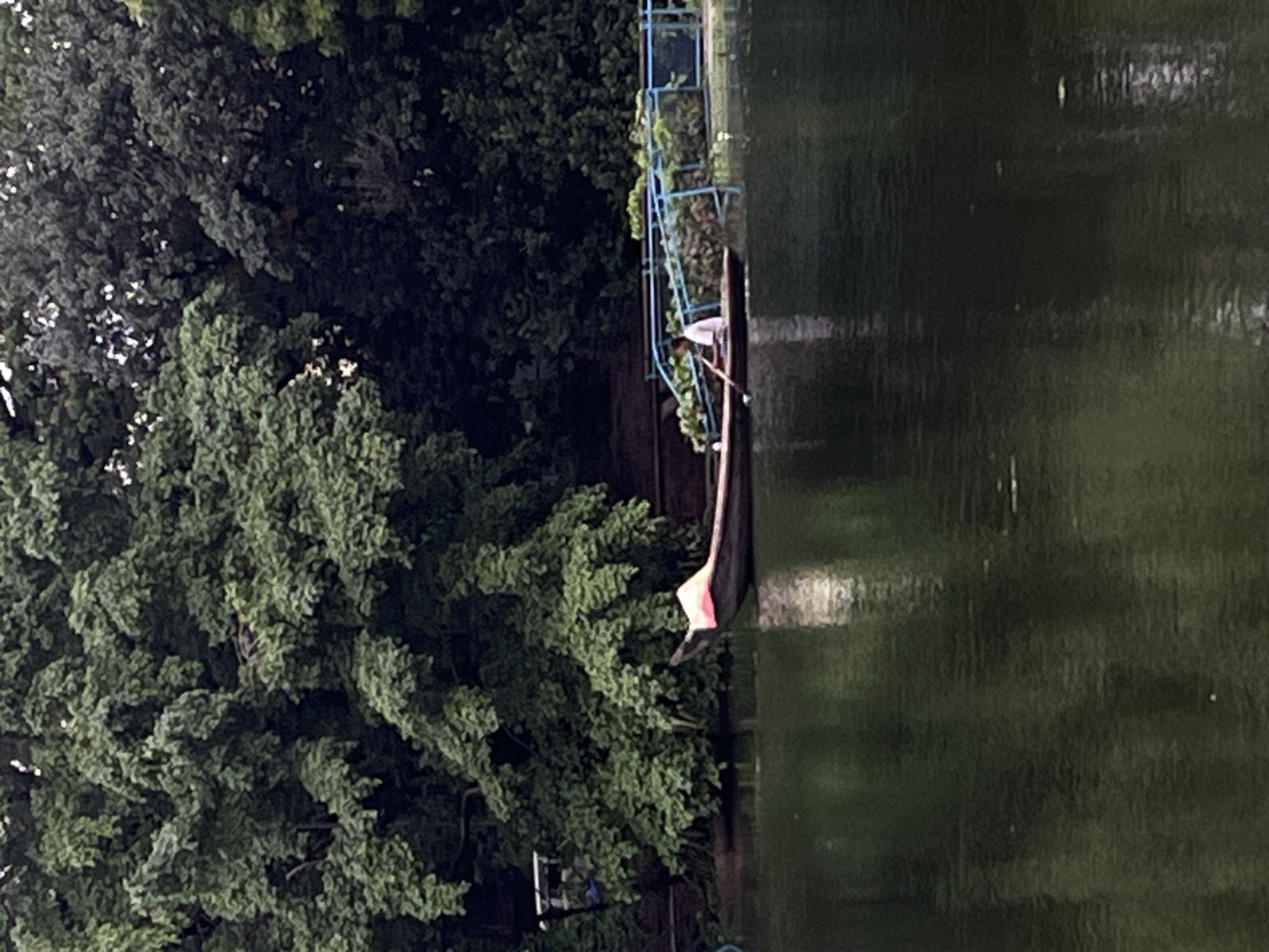The image depicts a boat, possibly a gondola, on a dark body of water, likely a lake or river. A person in a white shirt is visible standing in the boat and using a long pole, probably to propel or steer the boat. The boat is positioned close to a structure that appears to be a dock or pier with a blue railing. Lush green trees dominate the left side of the frame. The location is likely in the city of Dhaka, Bangladesh.