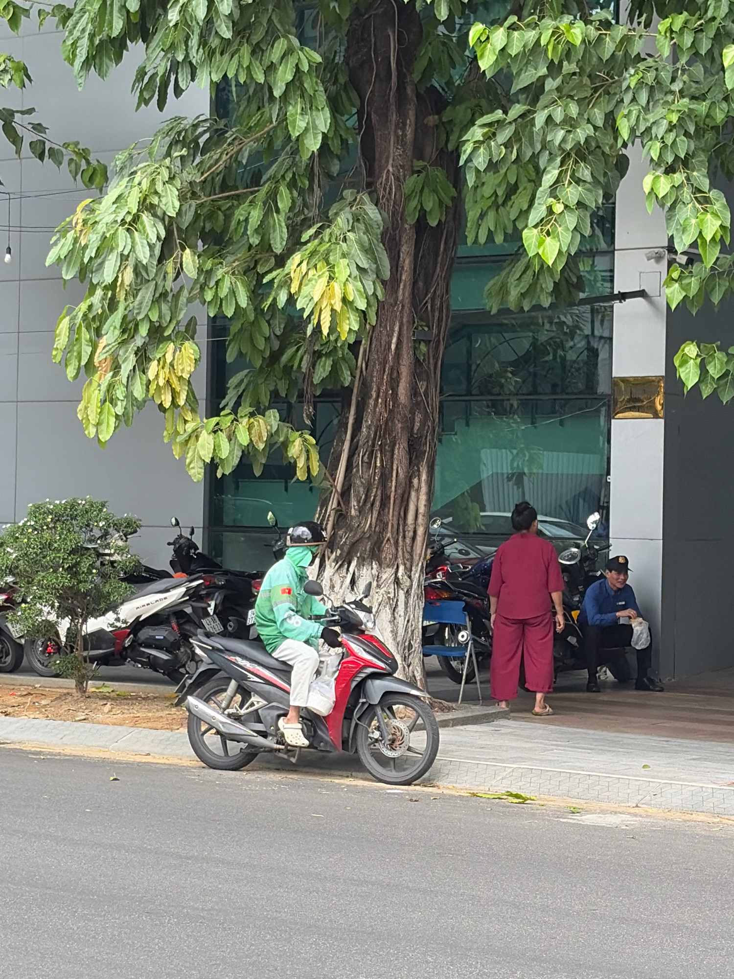 The image depicts a street scene in Đà Nẵng, Vietnam, under a large tree with green and yellowing leaves. In the foreground, a person wearing a green hooded jacket, white pants, and white Croc-style shoes is sitting on a red and black motorcycle. They are holding the handlebars and appear to be looking forward. Behind them, parked motorcycles line the sidewalk.
To the right of the motorcycles, two individuals are standing or sitting. One person, facing away from the camera, wears a maroon outfit consisting of a long-sleeved top and wide-leg pants, with one foot in a sandal. Beside them, a person in a blue shirt and dark pants, wearing a baseball cap, is seated and holding a white plastic bag. The background features the facade of a building with large tinted windows and a white structural element. The street is paved, and a sidewalk runs along the building.