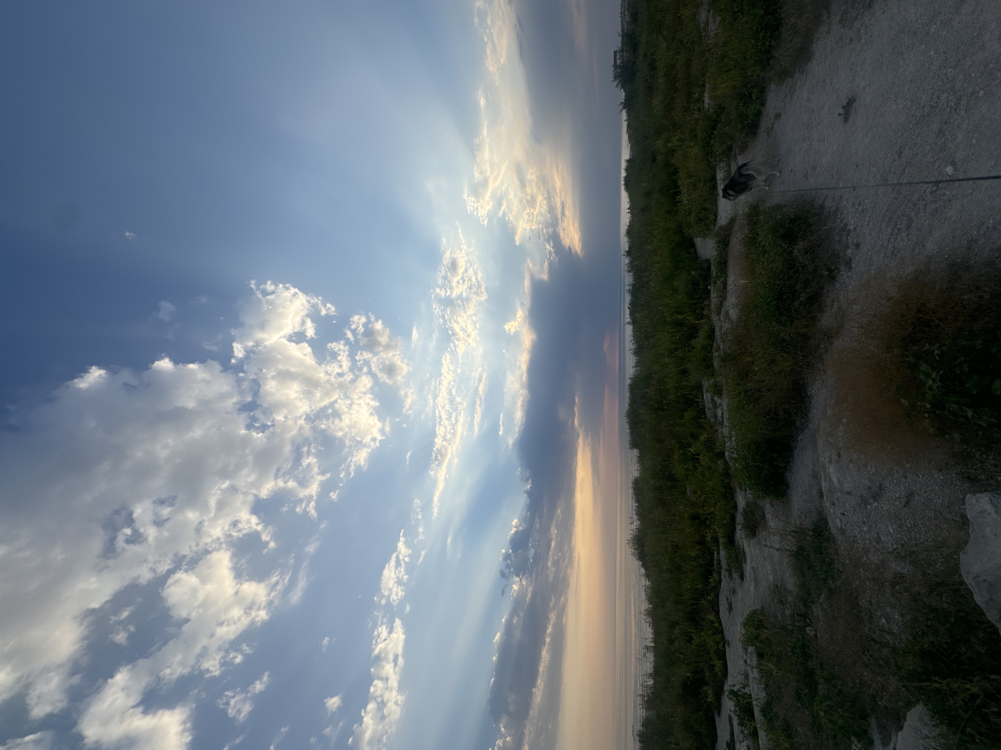 A wide-angle, eye-level shot captures a serene natural landscape, possibly near the city of Aktau, Kazakhstan. The horizon is dominated by a vast body of water, likely the Caspian Sea, stretching across the frame under a dramatic sky. Sunlight filters through scattered clouds, creating visible rays that illuminate the scene with a soft, diffused light. The sky transitions from a pale blue near the horizon to a deeper blue overhead, with clouds ranging from bright white to darker grays, suggesting dynamic weather conditions.
In the foreground, a rough, unpaved path winds through a landscape of lush green vegetation. The path appears to be composed of gravel and dirt, with scattered rocks and patches of dry grass. To the right of the path, a husky dog stands on all fours, facing away from the camera and looking towards the distance. The dog is connected to a dark leash, which trails behind it on the path. The vegetation is dense and varied, with taller grasses and smaller plants creating a natural, untamed feel. In the far distance, a faint structure, possibly a building, is visible on the right side of the horizon. The overall impression is one of peaceful solitude and the beauty of nature at dusk or dawn.