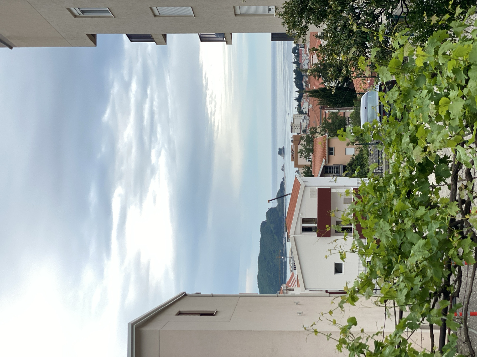 View of the Adriatic Sea from an elevated position in Budva, Montenegro. Buildings with beige exteriors frame the view. The sky is overcast. Vine foliage fills the right portion of the image. White buildings with terracotta roofs are visible in the distance. A mountain or large hill sits near the sea, partially obscured by haze.