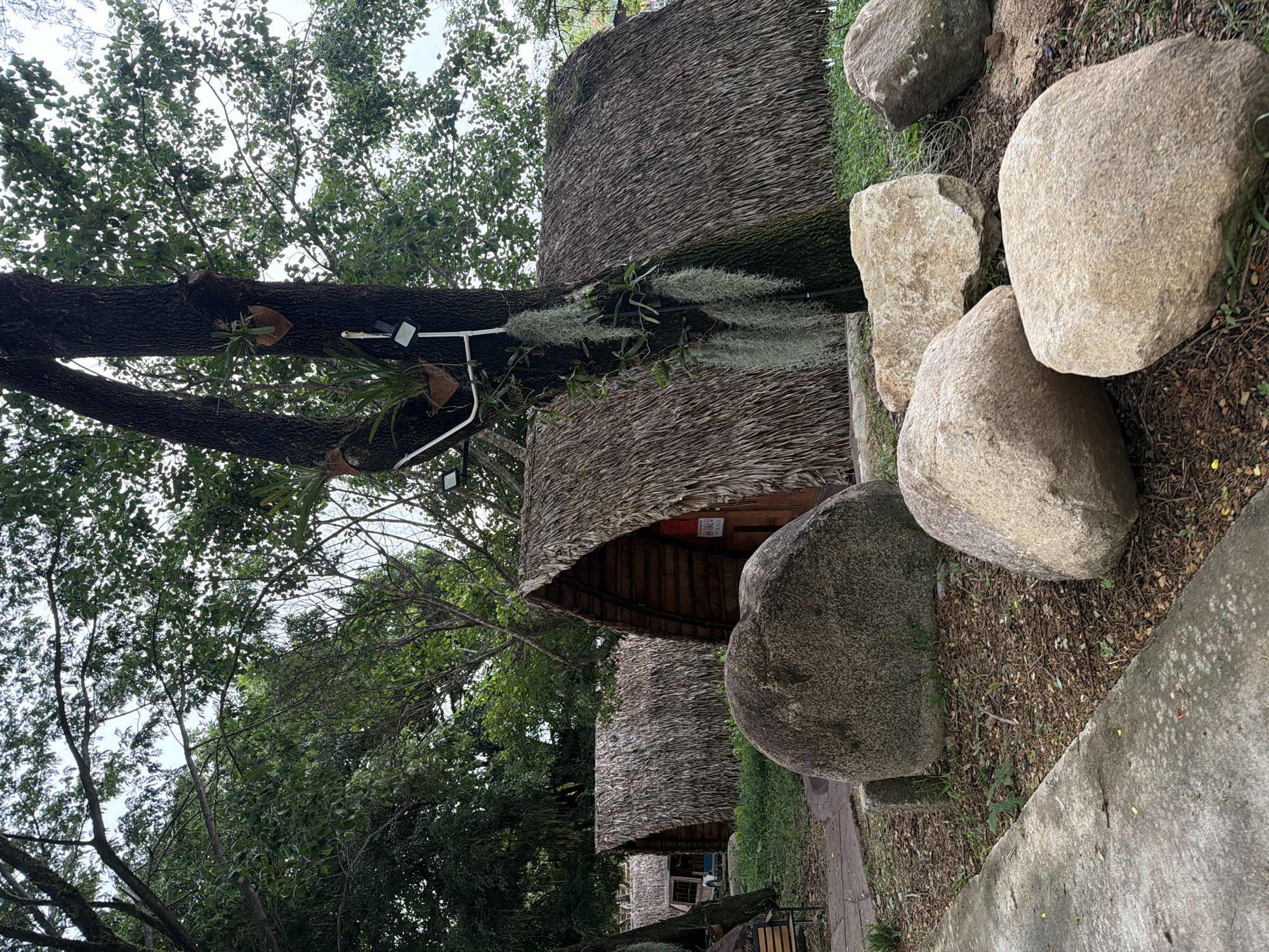 The image depicts a cluster of A-frame huts with thatched roofs, set in a natural environment with lush green trees and vegetation. Several large rocks are scattered in the foreground, with a paved pathway and a concrete border visible. The huts appear to be part of a resort or lodging facility. One hut, in the foreground, has a wooden door with some signage. Another hut further back shows a trailer hitched to a vehicle. A tree with epiphytic plants and hanging moss is prominent in the center, with two lighting fixtures attached to its trunk. The overall scene suggests a tranquil, outdoor setting in a tropical or subtropical region. The location is identified as being in the city of Khánh Vĩnh, Vietnam.