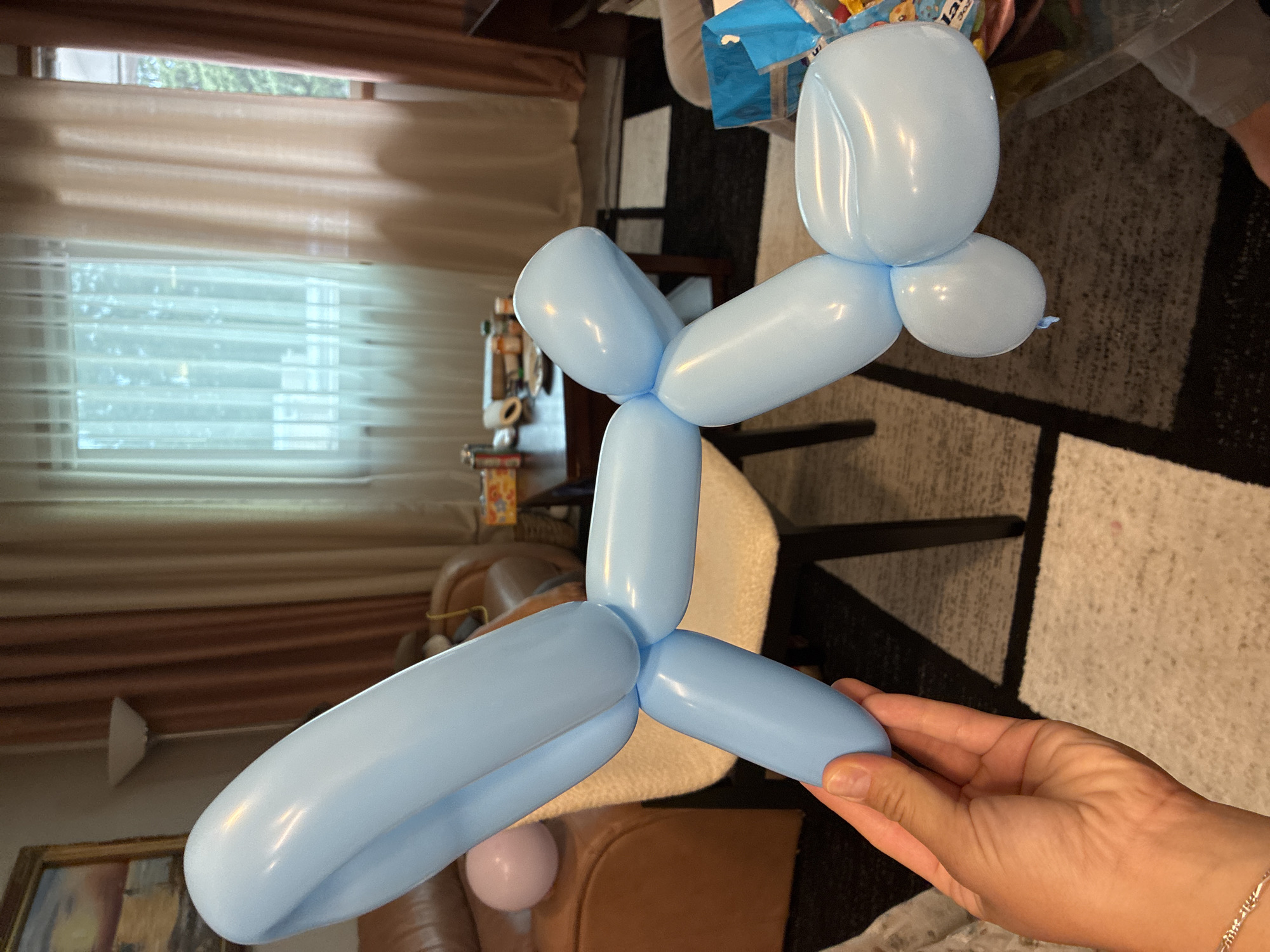 An adult human hand with a silver bracelet is holding a light blue balloon animal, possibly a dog, indoors. The balloon animal is composed of several inflated sections, forming a head, body, and legs. In the background, a living room is visible, featuring a brown leather sofa, a dining table with chairs, and floor-to-ceiling curtains covering windows. A floor lamp is also present. The scene appears to be a domestic setting.