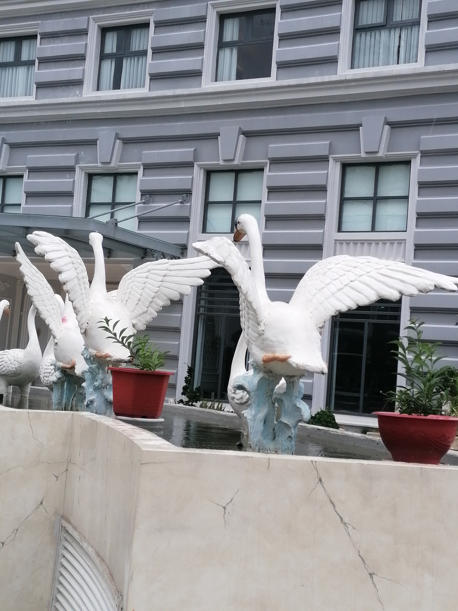 This is a medium shot, exterior, eye-level photograph of a series of white swan statues displayed in front of a grey, multi-story building. The statues are arranged in a line, with their wings spread. The building has a modern architectural style with horizontal detailing and multiple windows. The swan statues appear to be made of concrete or a similar material and are mounted on blue, sculpted bases. In the foreground, there is a light-colored, textured wall, possibly part of a fountain or decorative barrier. A red planter with a small green plant is visible to the right of the swans. The sky is not visible in the frame. The scene suggests a decorative outdoor space, possibly a hotel or public area in Da Lat, Vietnam, given the style and presence of swan motifs often found in decorative water features. There are no people visible in the image. The overall impression is one of artificial ornamentation and architectural design.