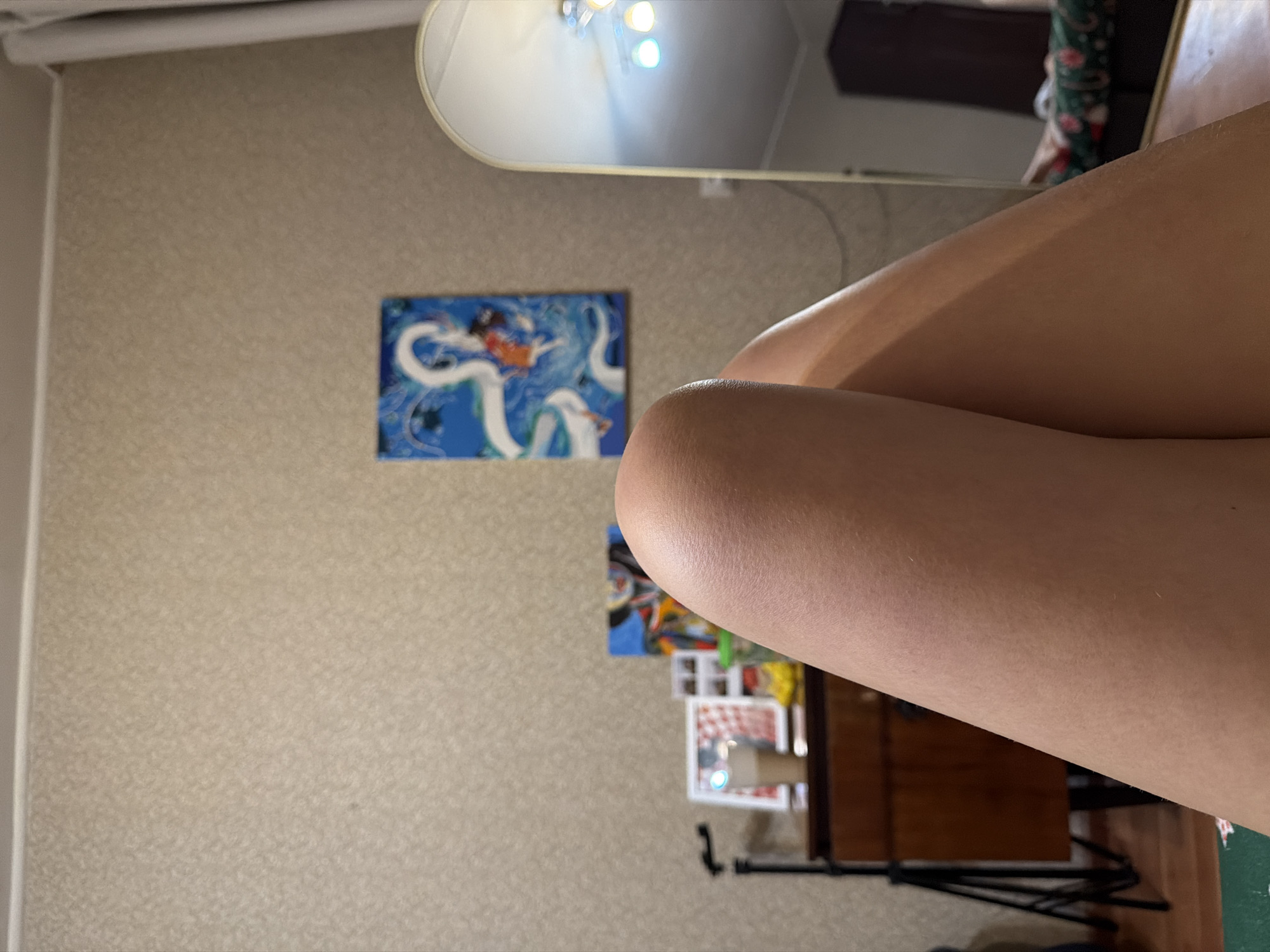 The image shows a room with beige wallpaper, a painting of a dragon, a mirror reflecting a ceiling fixture, and what appears to be a person's legs in the foreground. A dresser is also visible. The location is not discernible from the image.
