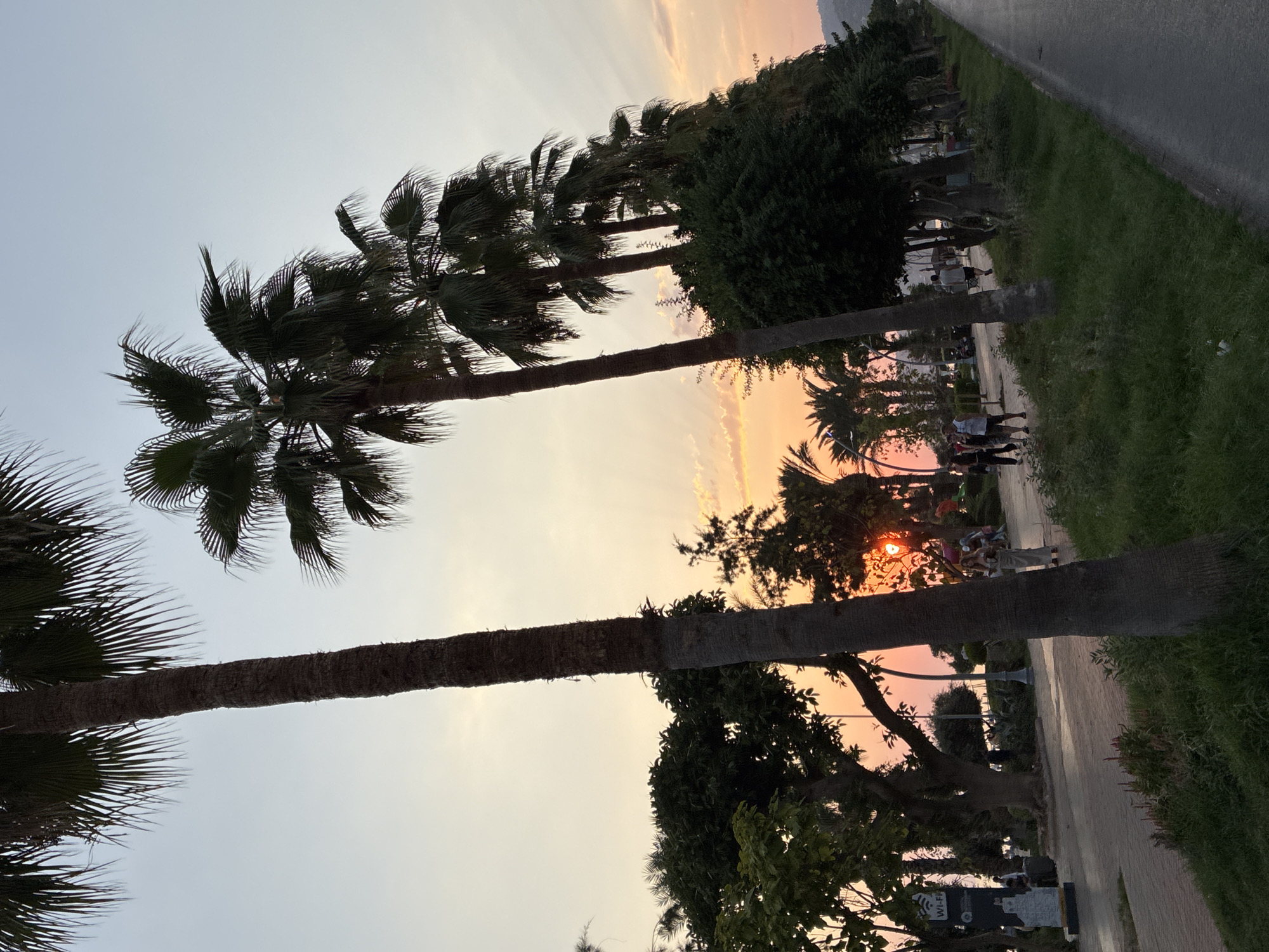 The image depicts a sunset scene along a promenade in Alanya, Turkey, likely near the Kleopatra Beach area. A row of palm trees lines the paved walkway, casting shadows as the sun dips below the horizon, creating a warm, orange and pink glow in the sky. Several people are visible walking and gathered on the promenade, enjoying the evening ambiance. The path is bordered by lush green grass and vegetation, with other trees and foliage interspersed throughout the scene. A road runs parallel to the promenade on the right side of the frame. The overall atmosphere suggests a leisurely and picturesque coastal setting.