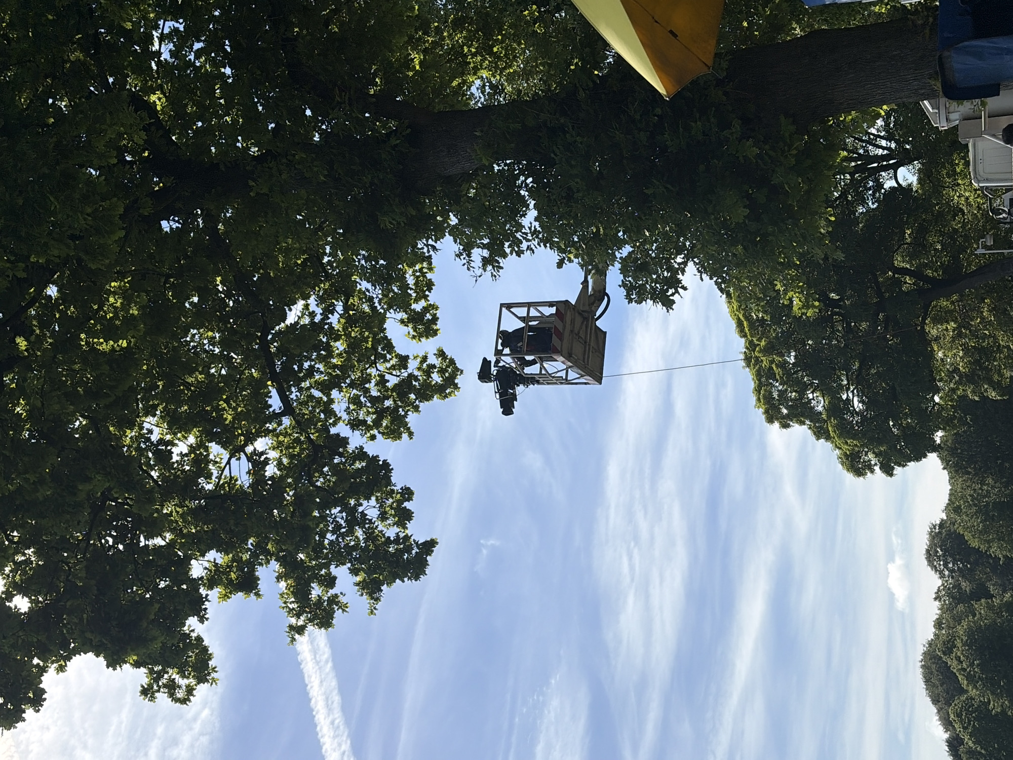 The image depicts a low-angle shot towards the sky, framed by tree branches and foliage on the left and right sides. In the center of the frame is a lift platform, in which a person is visible, as well as a camera and other equipment. The background consists of a blue sky with wispy clouds and contrails. A yellow umbrella or canopy is visible at the top of the image. The location is the city of Unknown, Unknown.