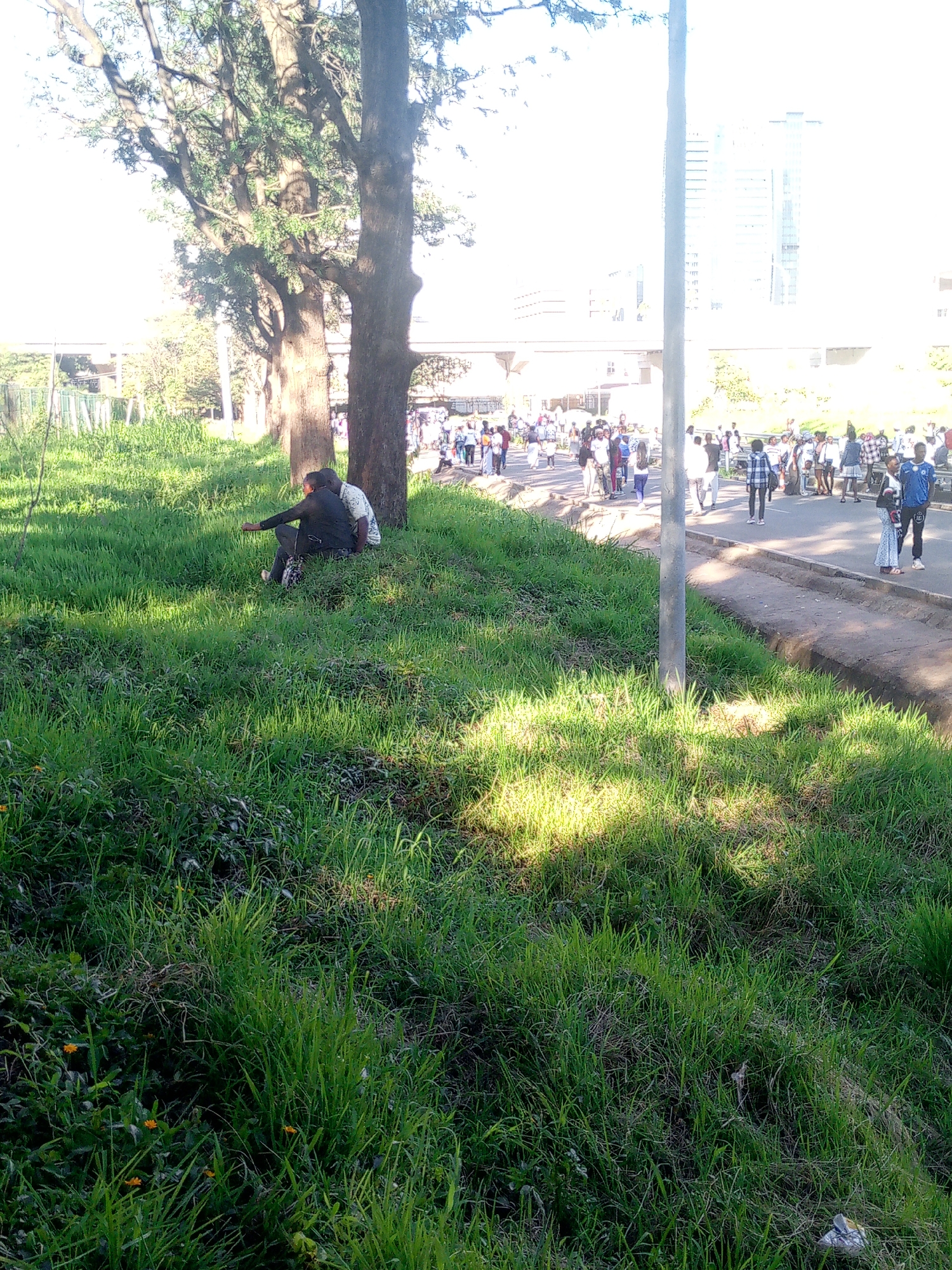 The image shows a grassy area next to a road in what appears to be Nairobi, Kenya. In the background, there is a group of people walking along the road and possibly assembling or protesting. Buildings and infrastructure such as a bridge and a tall building are visible in the distance. In the foreground, two people are sitting on the grass near a tree. The overall scene is a public space with a mix of natural elements and urban development.