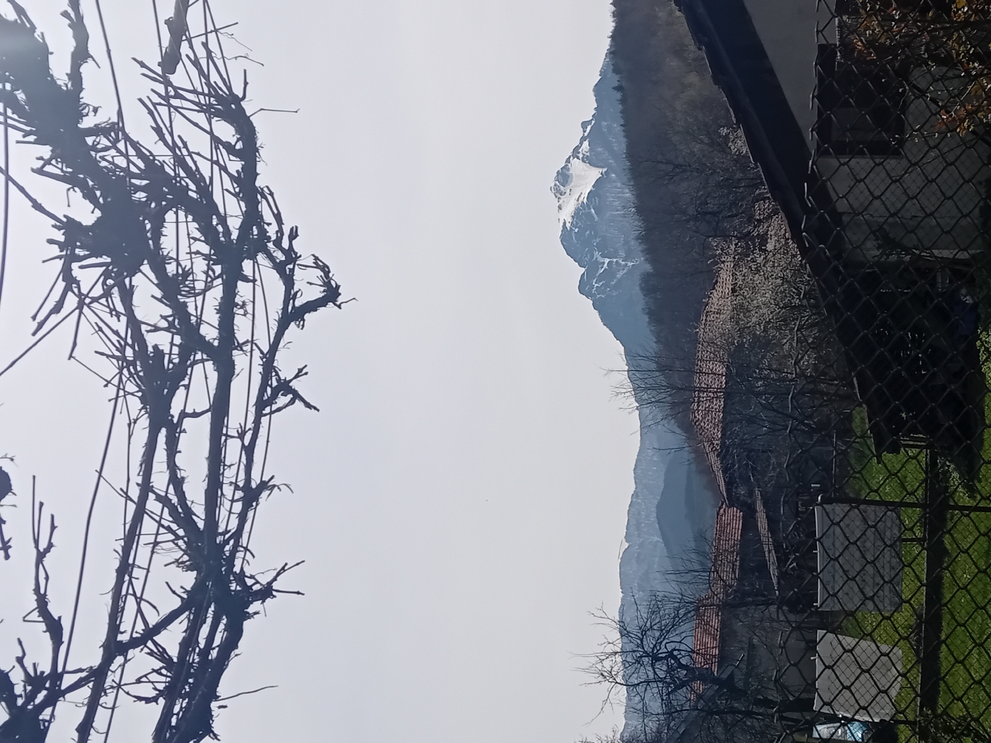 The image depicts a mountain range with some snow visible on the peaks. In the foreground, there is a bare tree with intricate branches on the left side. On the right side, there is a chain-link fence and greenery, possibly grass, is visible behind it. Buildings with red tile roofs are seen in the mid-ground. The sky is overcast and gray. The location is not specified and cannot be determined from the image.
