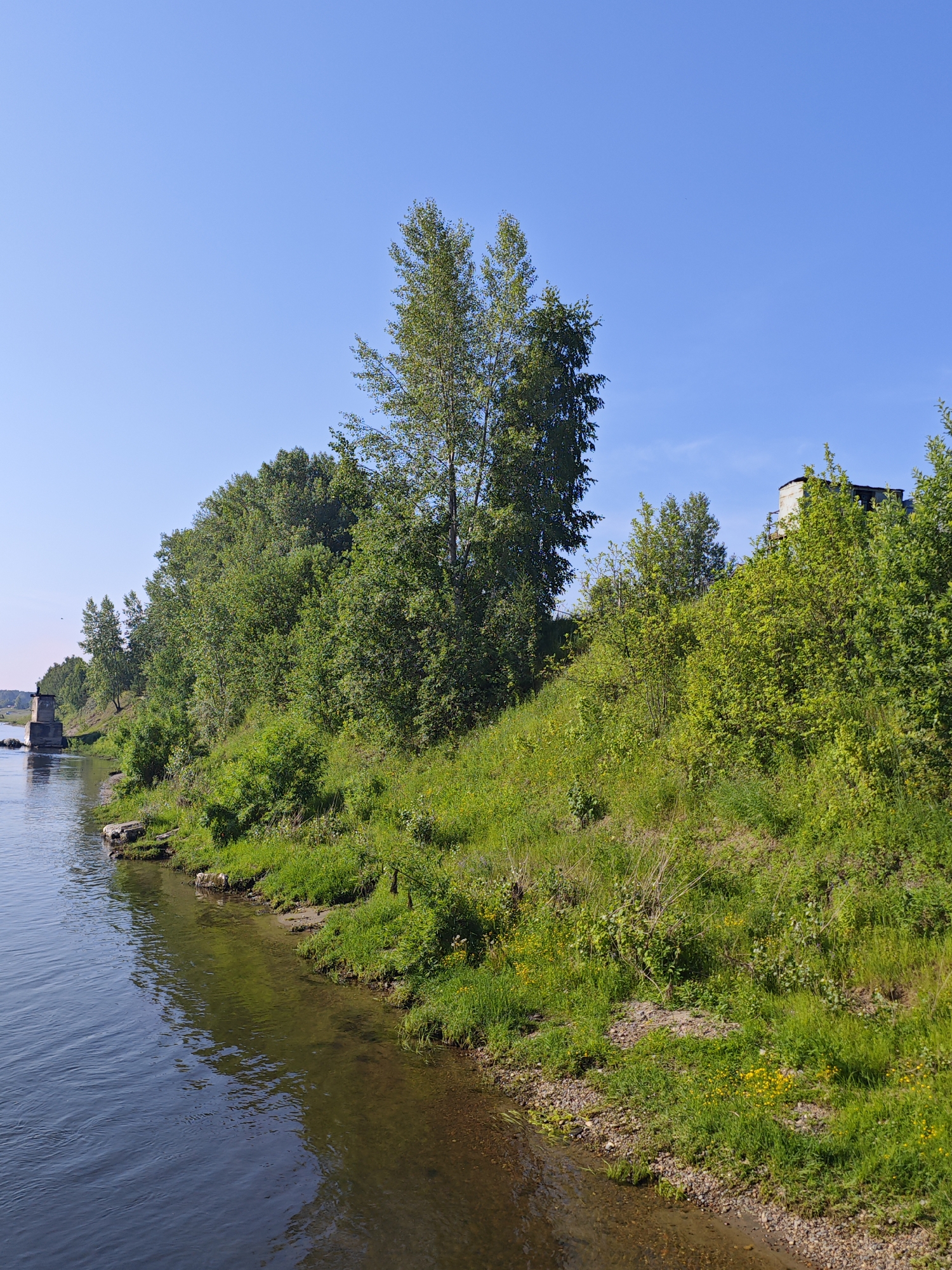 A naturalistic wide shot captures a riverbank with lush green vegetation under a clear blue sky. The river, on the left, reflects the sky and trees. The bank is covered in grass, with a few small rocks visible along the water's edge. A dense line of trees and shrubs runs along the top of the bank, obscuring the distant landscape. In the upper right, a partially visible white building with a dark roof stands amongst the trees. In the far left of the image, a concrete structure, possibly a bridge abutment, rises from the river. The scene appears to be located in a rural or natural setting within or near Galanino, Russia, as suggested by the reference. There are no people or animals visible in the image.