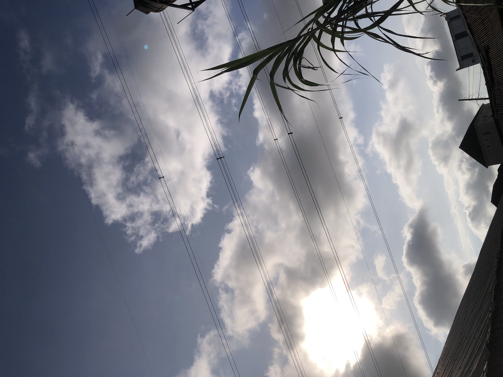 The image captures a daytime scene in Ado, Nigeria, looking upwards towards the sky. Several power lines are strung horizontally across the frame, with some appearing taut and others slightly sagged. On the right side of the image, a portion of a tall structure, possibly a water tank on a support, is visible against the sky. In the foreground, the dark, corrugated metal roof of a building occupies the lower left corner. Emerging from the right edge of the frame and extending upwards is a cluster of long, green leaves, likely from a plant such as sugarcane. The sky is partly cloudy, with patches of bright sunlight breaking through, illuminating some of the clouds. The overall impression is one of an outdoor urban environment with visible infrastructure and natural elements.