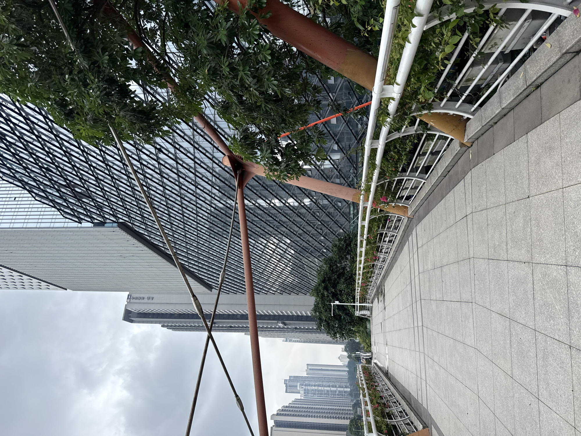 A pedestrian bridge curves gently to the left, its light-colored tiled surface reflecting an overcast sky. White railings line both sides of the bridge, interspersed with planters filled with greenery and pink flowers. In the background, several tall, modern buildings rise, their glass facades a mosaic of reflected sky and geometric patterns. A large tree with green foliage and reddish-brown branches is situated to the right of the bridge, partially obscuring the view of one of the buildings. Suspended cables, some appearing rusty, cross the frame diagonally, suggesting a suspension structure for the bridge or a nearby edifice. The environment appears to be urban, likely in Tianhe District, China, given the architectural style and density of skyscrapers. No people are visible in the immediate foreground, though a distant figure can be vaguely discerned on the bridge. The overall scene suggests a contemporary urban landscape with integrated green spaces.