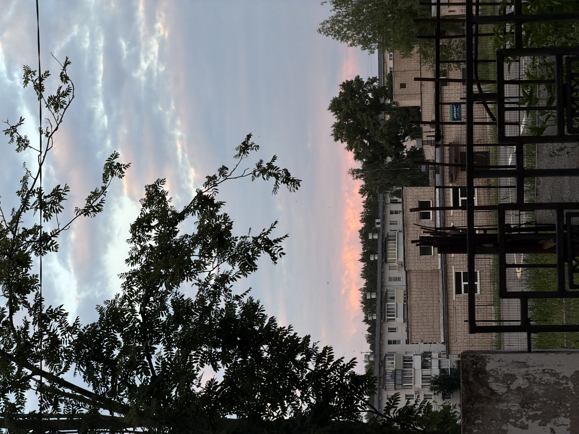 The image captures a view of buildings in Chaikovsky, Russia, under a pastel-colored sky. In the foreground, a dark silhouette of tree branches with small leaves partially obscures the view. A black metal fence with a concrete post on the left separates the viewer from the scene beyond.
Behind the fence, several low-rise buildings are visible. The buildings are constructed with light-colored bricks and have numerous windows, some of which are balconies. A larger, multi-story apartment building with lighter cladding is situated on the left side of the frame, behind the brick buildings. A line of dark green trees forms a backdrop behind the buildings.
The sky above displays a blend of soft blues, grays, and hints of pink and orange, suggesting either dawn or dusk. A single dark power line stretches across the upper portion of the image. No people or active movements are discernible in the scene. The overall impression is one of quietude in an urban or semi-urban environment.