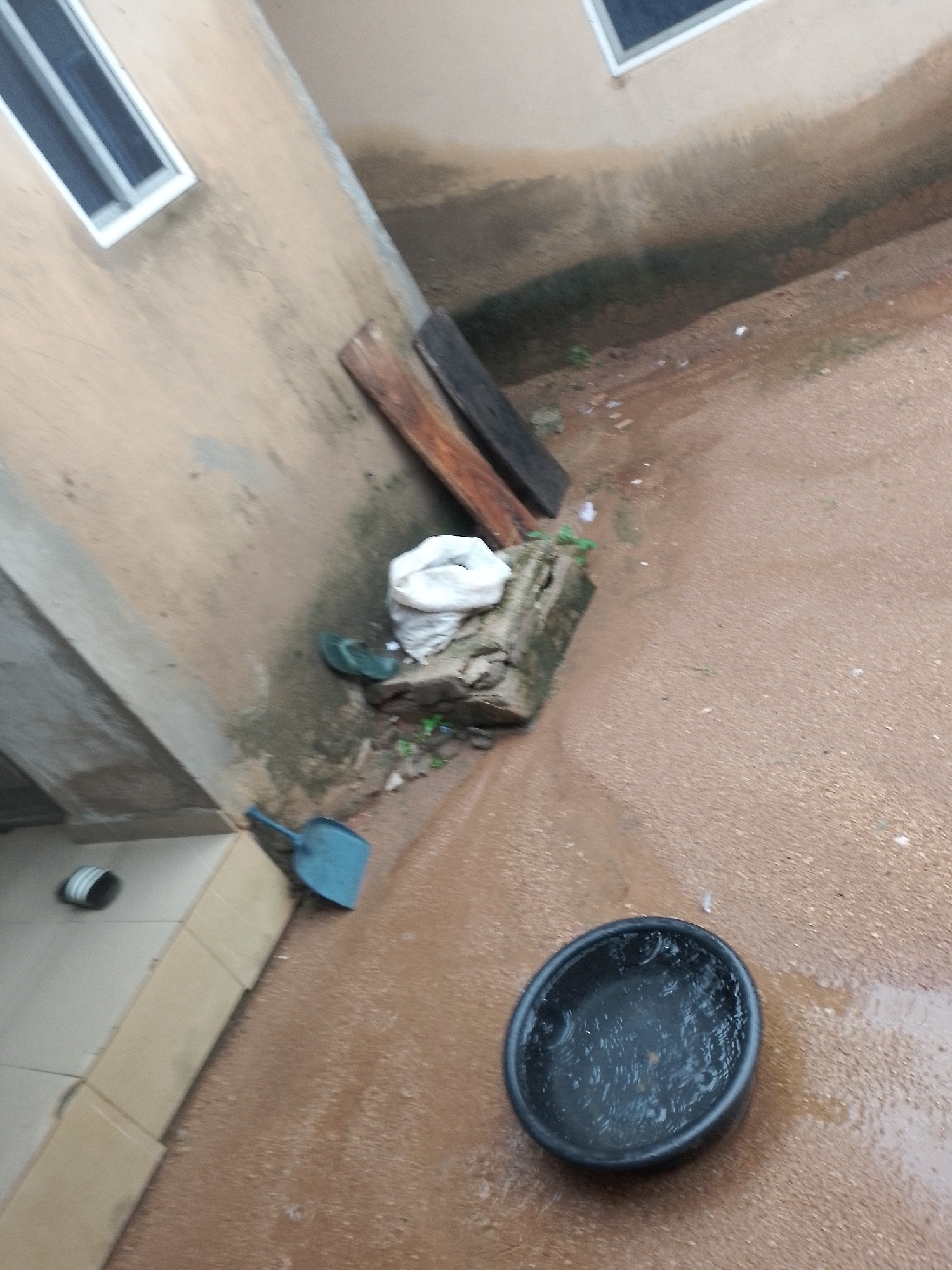 The image depicts an outdoor scene with a building and ground. A pale, textured wall of a building is visible on the left, with a window that has a white frame and dark panes. Two pieces of wood, one lighter brown and one dark, lean against the wall. Below these, a small pile of debris includes a white bag, a dark green flip-flop, and some green foliage. A blue shovel lies on the ground nearby. To the left of the wall, there is a tiled surface with a white and gray pipe. The ground itself is mostly composed of a reddish-brown granular material, appearing wet in places, with scattered small white debris. In the foreground, a black, shallow bowl filled with water is visible.