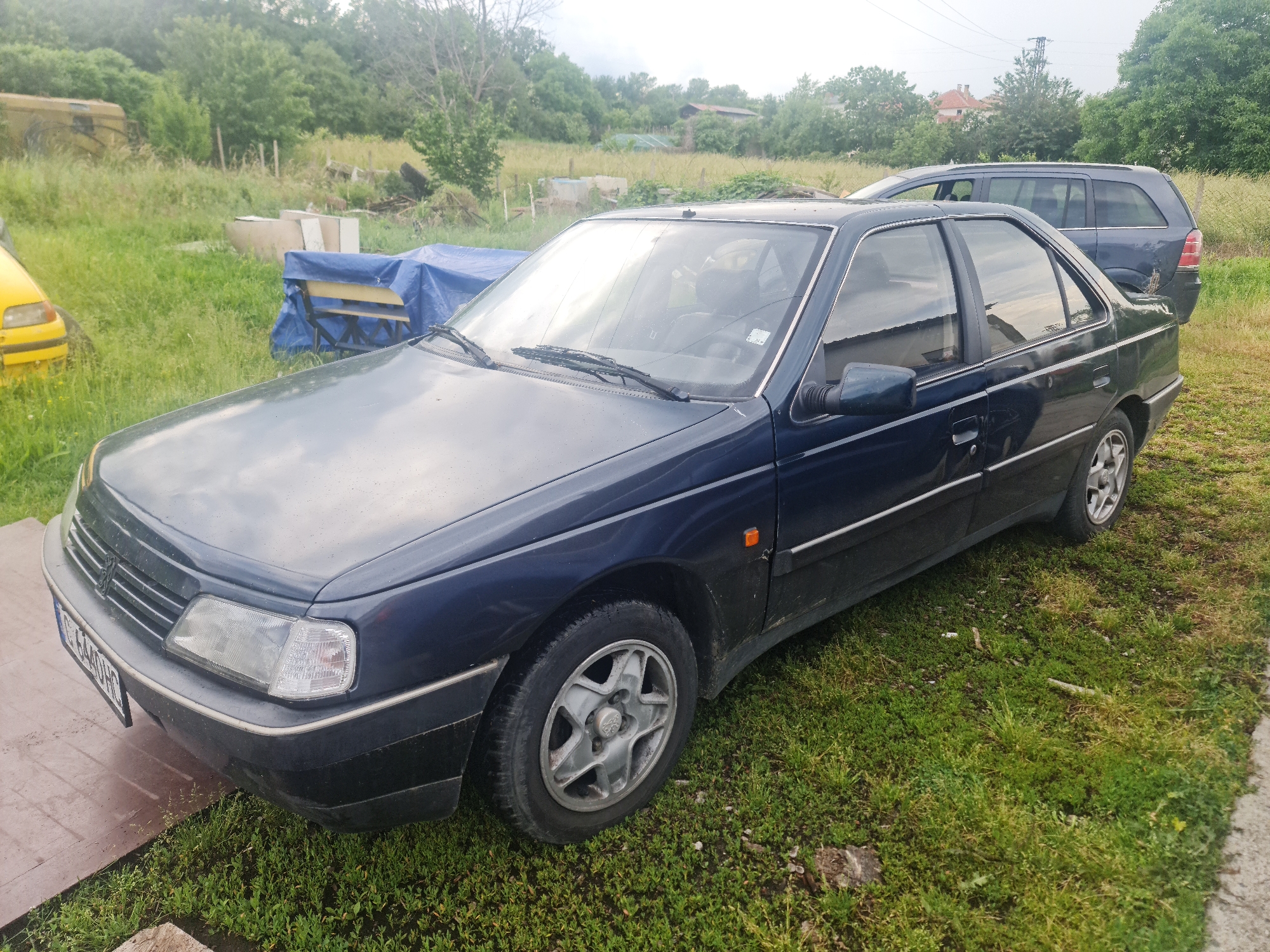 A dark blue Peugeot 405 sedan is parked on a grassy patch of ground, angled slightly towards the left. Its paint appears somewhat dull, and the surfaces show reflections consistent with an overcast sky or recent dampness. A license plate, partially visible on the front bumper, reads "CA 4409H". The car features five-spoke alloy wheels.
Behind the main car, a dark blue Opel Vectra B station wagon is parked, facing right, with its rear section and passenger side visible. To the far left of the frame, a yellow car, possibly a small hatchback, has its front bumper and headlight partially visible.
The scene is an outdoor, semi-rural setting, likely a large yard or undeveloped plot of land. The ground is covered in green, somewhat overgrown grass. In the background, a dense line of trees dominates the horizon, with glimpses of distant house roofs and a utility pole under what appears to be an overcast sky. Various discarded items are scattered across the grassy area, including a blue tarp covering an object, wooden planks, and a faded yellow vehicle further in the distance. The overall impression is one of multiple vehicles parked in a neglected, overgrown outdoor space during the daytime.