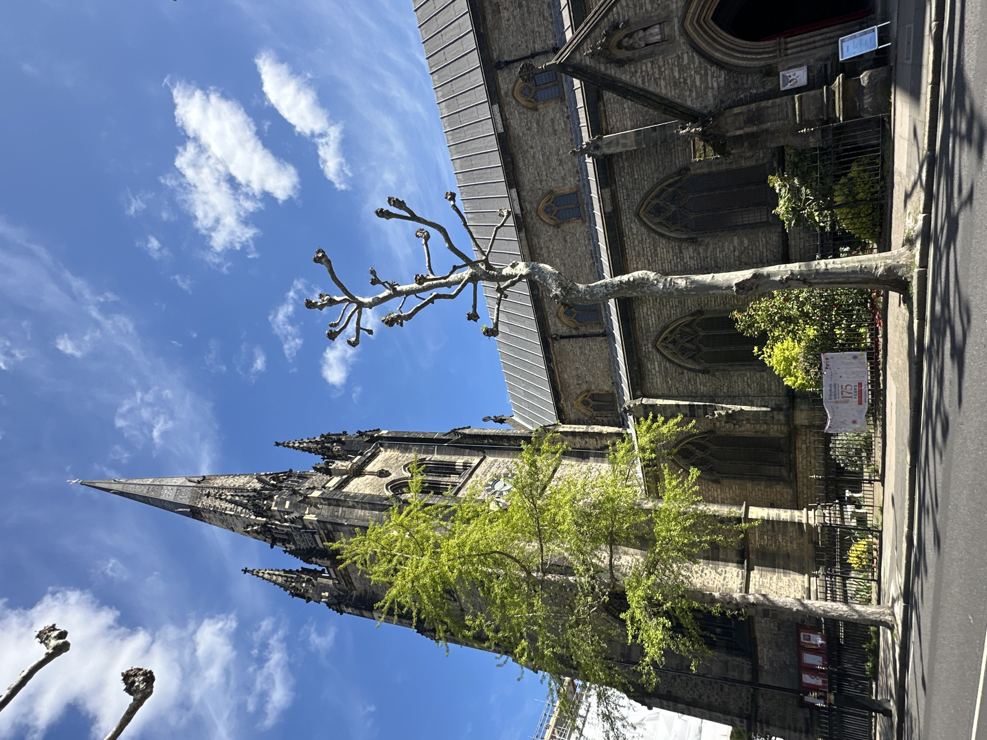 The image shows St. Dunstan-in-the-West Church in London, UK, viewed from a low angle. The church is made of gray stone and has a tall spire, visible against a blue sky with scattered clouds. A tree with budding green leaves is in the foreground, partially obscuring the church's facade. The building abuts a street, a small portion of which is visible on the right edge of the image. A metal fence surrounds a small portion of the church's perimeter.