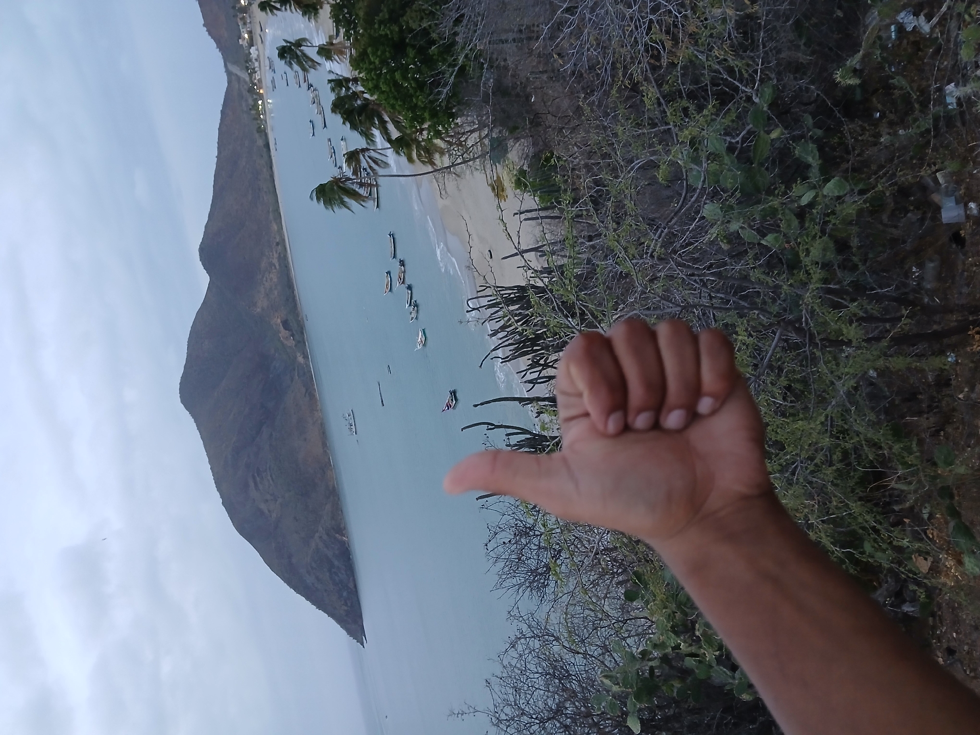 A human arm is giving a thumbs-up gesture. The backdrop showcases Juan Griego, Venezuela. A large mountain is on the left side of the image. The sea is between the mountain and the beach. The beach and town are lined with palm trees. Boats are docked in the water. Bushes and cacti are visible on the right.
