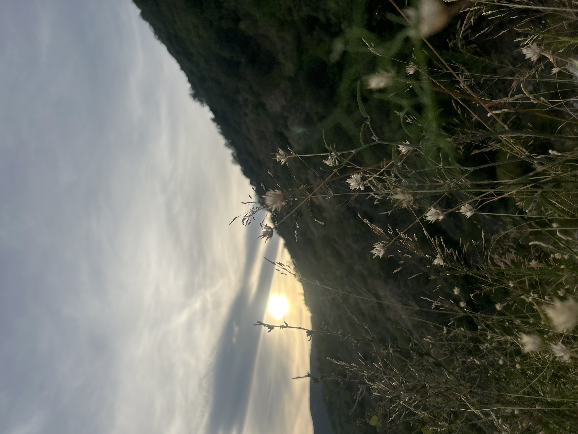 The image depicts a natural landscape with a focus on tall grasses in the foreground, silhouetted against a backdrop of a sunlit mountain slope and a cloudy sky. The sun is partially obscured by clouds, casting a warm glow over the scene. The mountain is covered in dense vegetation. The time of day appears to be late afternoon or early evening. The location is described as the city of Rafailovići, Montenegro. There are no people or specific actions visible in the image.