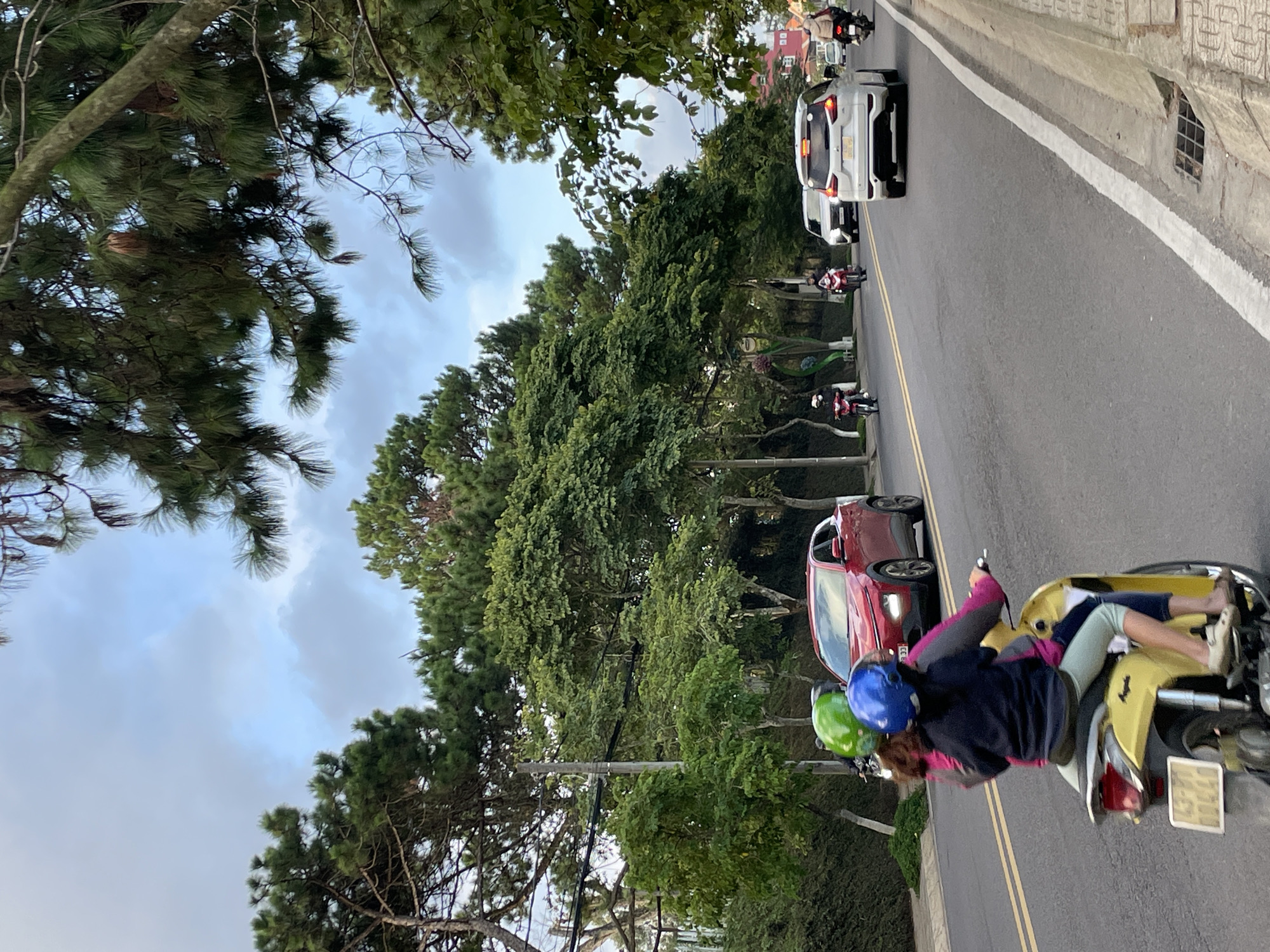 In Thành Phố Đà Lạt, Vietnam, a road lined with lush green trees and pine trees leads uphill. The sky is cloudy, suggesting it might be late afternoon or early evening. Several vehicles are present on the road, including a white SUV and a red car, both moving uphill. A few motorcycles are also on the road. In the foreground, two people are riding a yellow scooter. The rider in front wears a blue helmet and a dark jacket, while the person behind them has a green helmet and appears to be wearing a pink and blue jacket and light-colored pants. They are both looking forward, and their posture suggests they are traveling. The overall scene depicts a moment of transit on a scenic road, possibly a common sight in this mountainous region of Vietnam. There is a license plate visible on the yellow scooter, but the text is illegible.