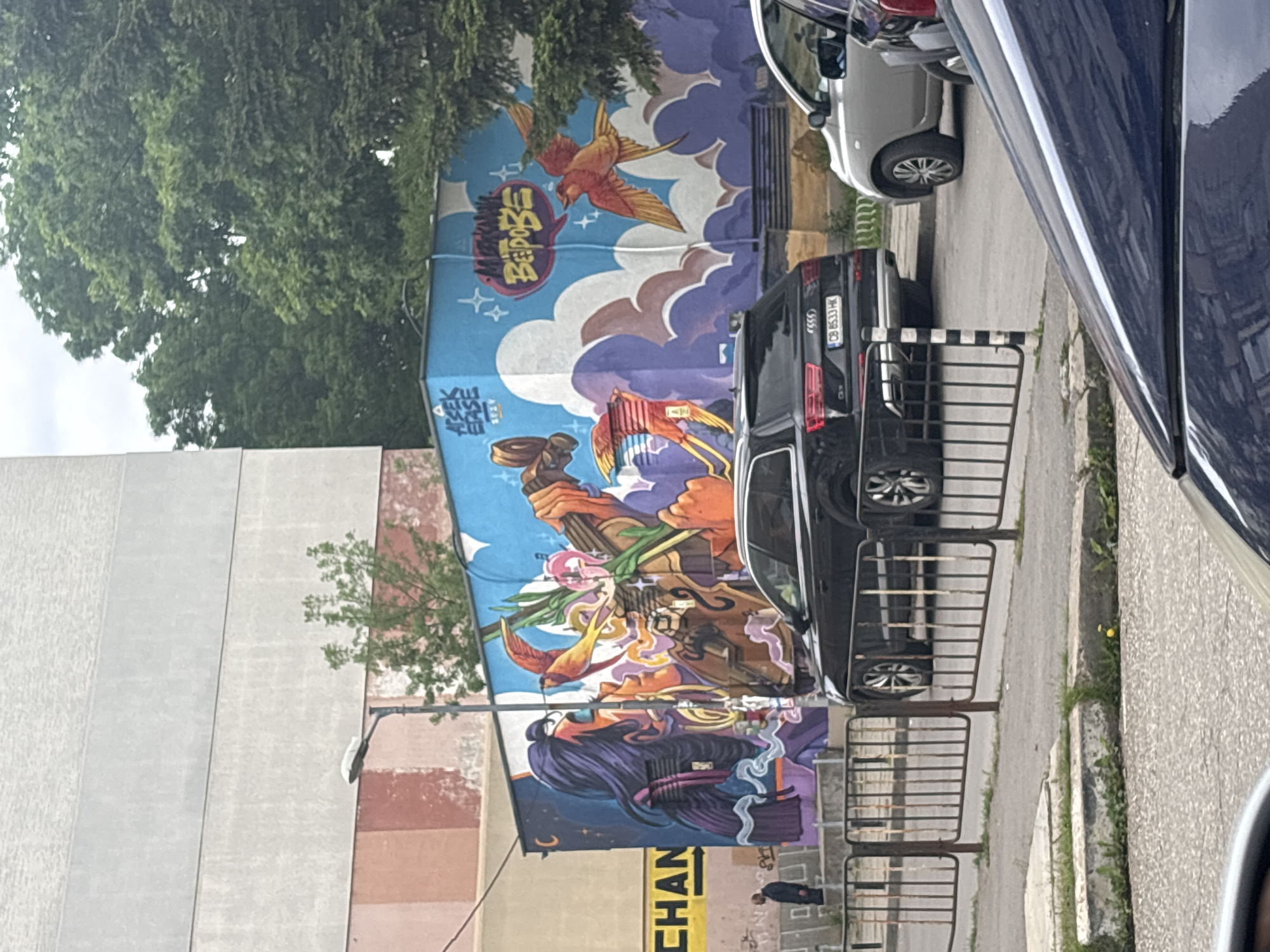 The image shows a colorful, large-scale mural on the side of a building in Sofia, Bulgaria. The mural features a variety of fantastical and surreal imagery, including birds, mythical figures, and abstract shapes. The painting dominates the left side of the frame. In front of the mural is a black car (Audi) parked beside a metal fence. A pedestrian walks on the sidewalk next to a yellow banner reading 'CHAN'. There are other cars (silver and blue) parked along the street, partially visible. A streetlight is seen near the mural. There are trees at the top of the frame. The weather appears overcast.