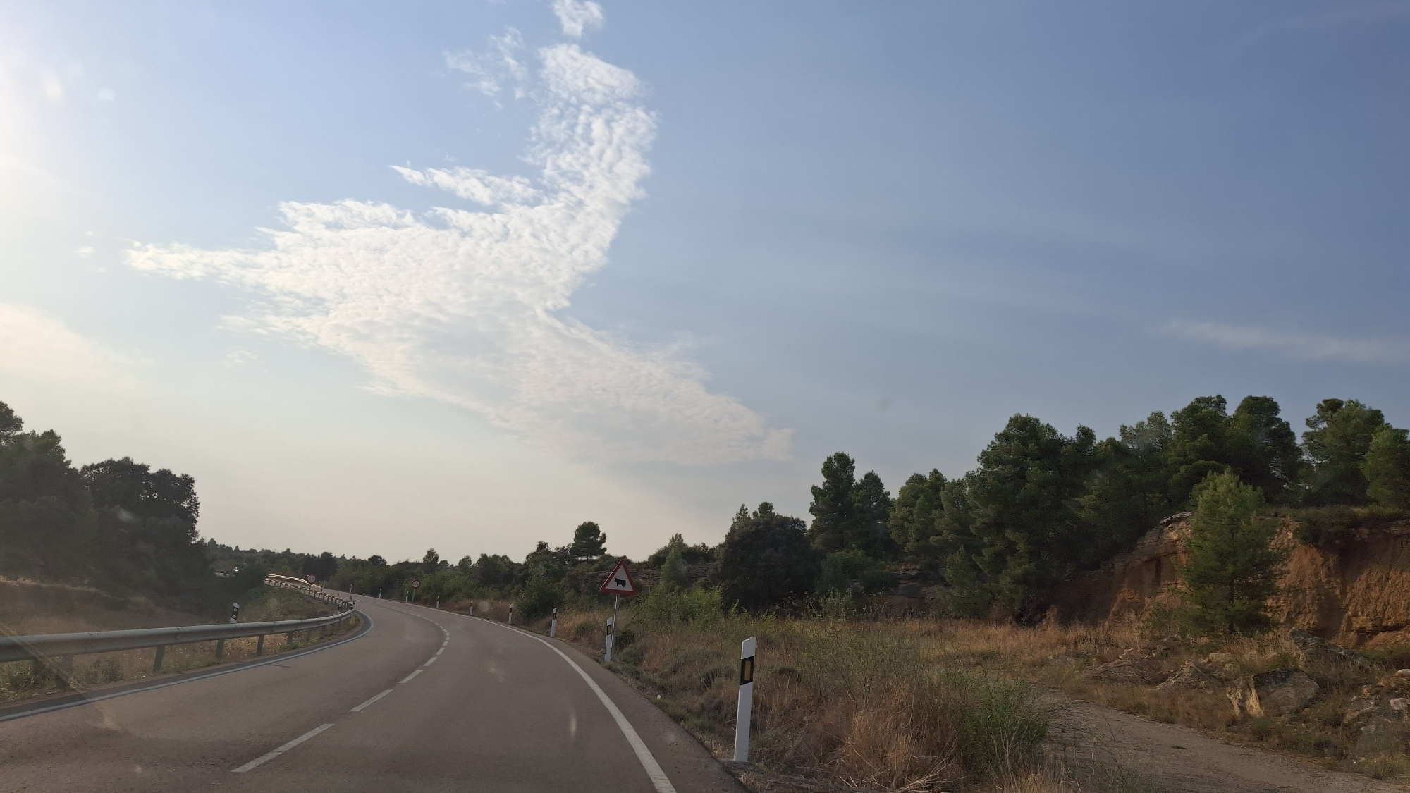 The image depicts a winding asphalt road in a rural, hilly area, likely on the outskirts of Valjunquera, Spain. The road curves to the left, bordered by a metal guardrail on the left side and dry, grassy vegetation and a rocky embankment on the right. A line of pine trees and other foliage lines the right side of the road, suggesting a natural or semi-natural landscape. Several road signs are visible, including a triangular warning sign with a picture of a truck and some white posts with reflective markers. The sky is a pale blue with scattered white clouds, and the sun appears to be low on the horizon, casting a soft light on the scene. There are no people or animals visible in the image. The overall impression is one of a serene, somewhat arid, landscape.