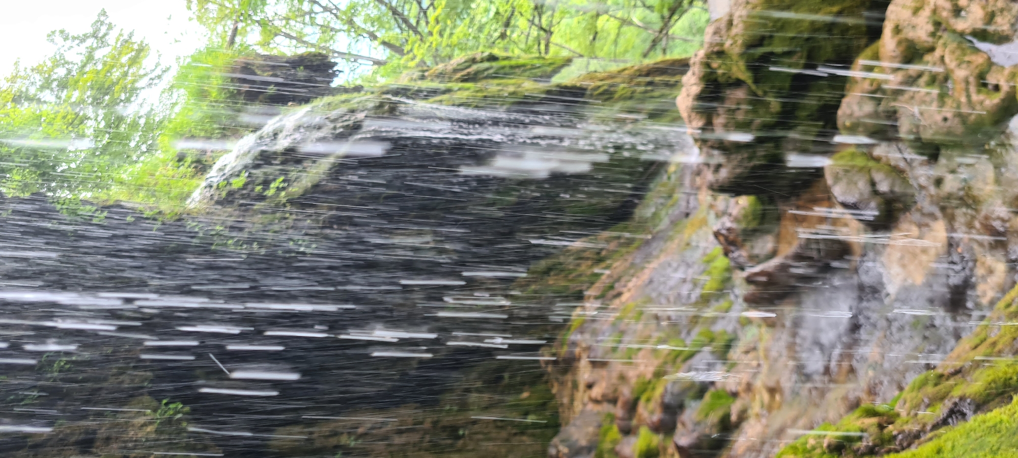 This image captures a close-up, low-angle perspective of a natural waterfall located in Ribaritsa, Bulgaria. The foreground is dominated by numerous vertical streaks of white and translucent water, indicating rapid movement and creating a semi-transparent curtain effect. Behind this falling water, a dark, rugged cliff face is visible, heavily textured and largely covered in vibrant green moss and various small plants, particularly on the left and center. On the right side, a distinct cascade of water flows down the moss-covered rock, distinct from the foreground curtain. The ground below the falls consists of an uneven terrain of moss-laden rocks and damp earth, with visible pooling and splashing of water at the base. In the blurred background, beyond the immediate rock face, lush green deciduous trees and foliage are apparent, suggesting a dense, natural forest environment. The lighting is natural and diffused, highlighting the wet surfaces and verdant vegetation. No human figures or man-made objects are present within the frame.