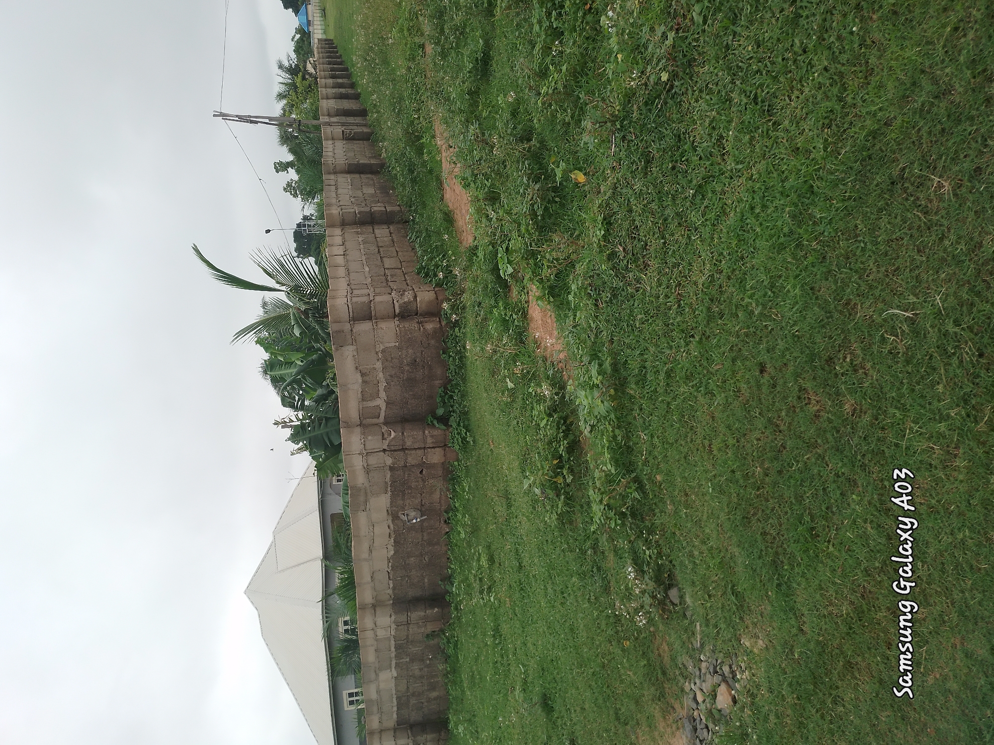 The image captures an exterior scene in Doka-Tofa, Nigeria, under an overcast sky. A concrete block wall, constructed from large, grey, rectangular blocks, forms a perimeter that extends from the left foreground towards the right background. The wall appears to be of medium height and shows signs of weathering. Beyond the wall, a light-colored building with a gabled roof is visible, featuring multiple windows. Lush green grass covers the ground in the foreground and along the side of the wall. Various plants and some small white flowers are interspersed with the grass. In the distance, beyond the wall and trees, a blue roof of another structure can be seen. The overall environment suggests a partially developed or rural area. The bottom left corner of the image displays the text "Samsung Galaxy A03" in white script.
