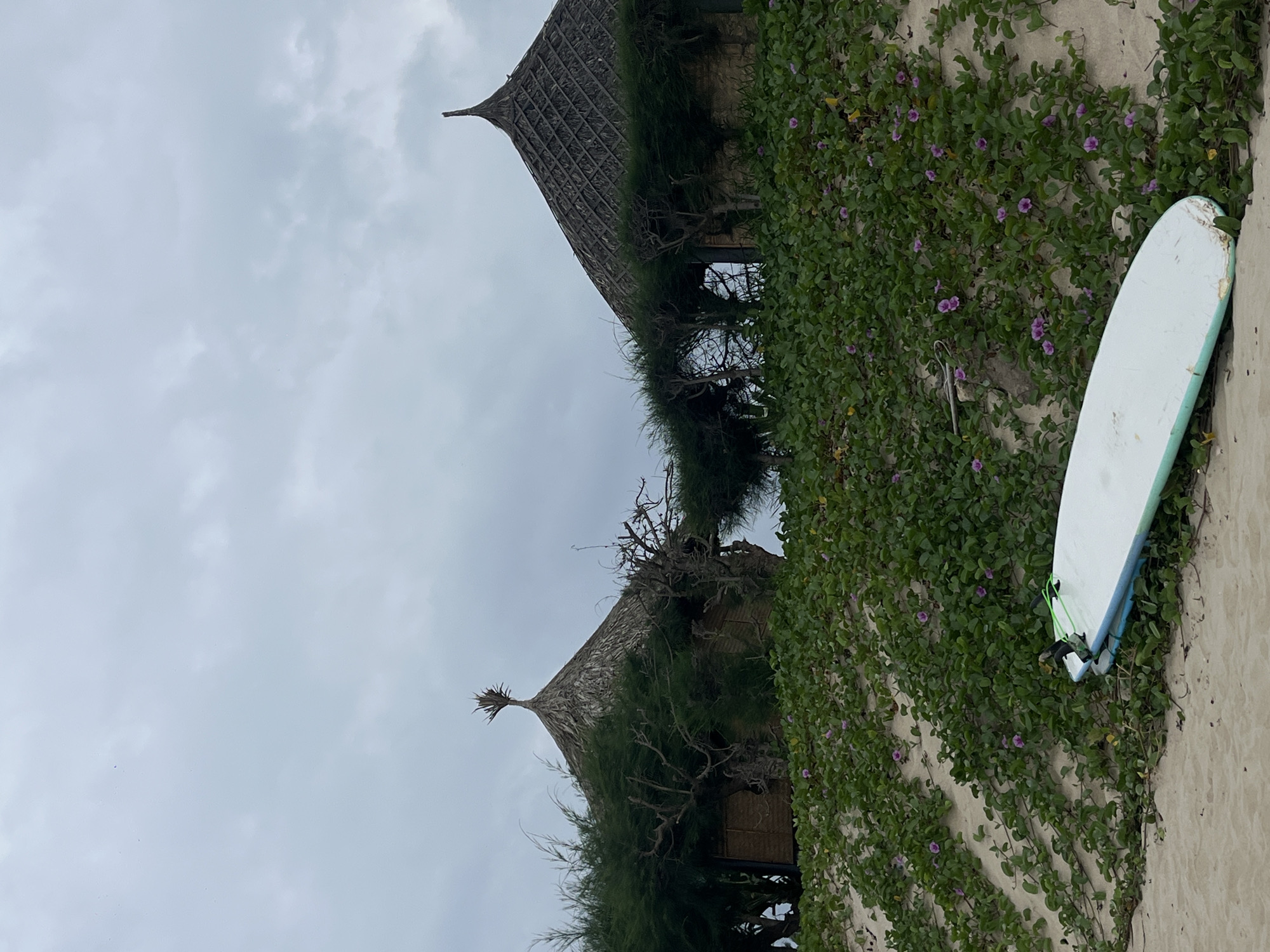 A surfboard lies on a sandy dune covered in green vines and small purple flowers. In the background, two thatched-roof huts are nestled behind dense vegetation. The sky is overcast and gray, suggesting a cloudy day in Mui Ne, Vietnam. The scene depicts a tranquil, natural setting, possibly a resort area. There are no people visible in the image.