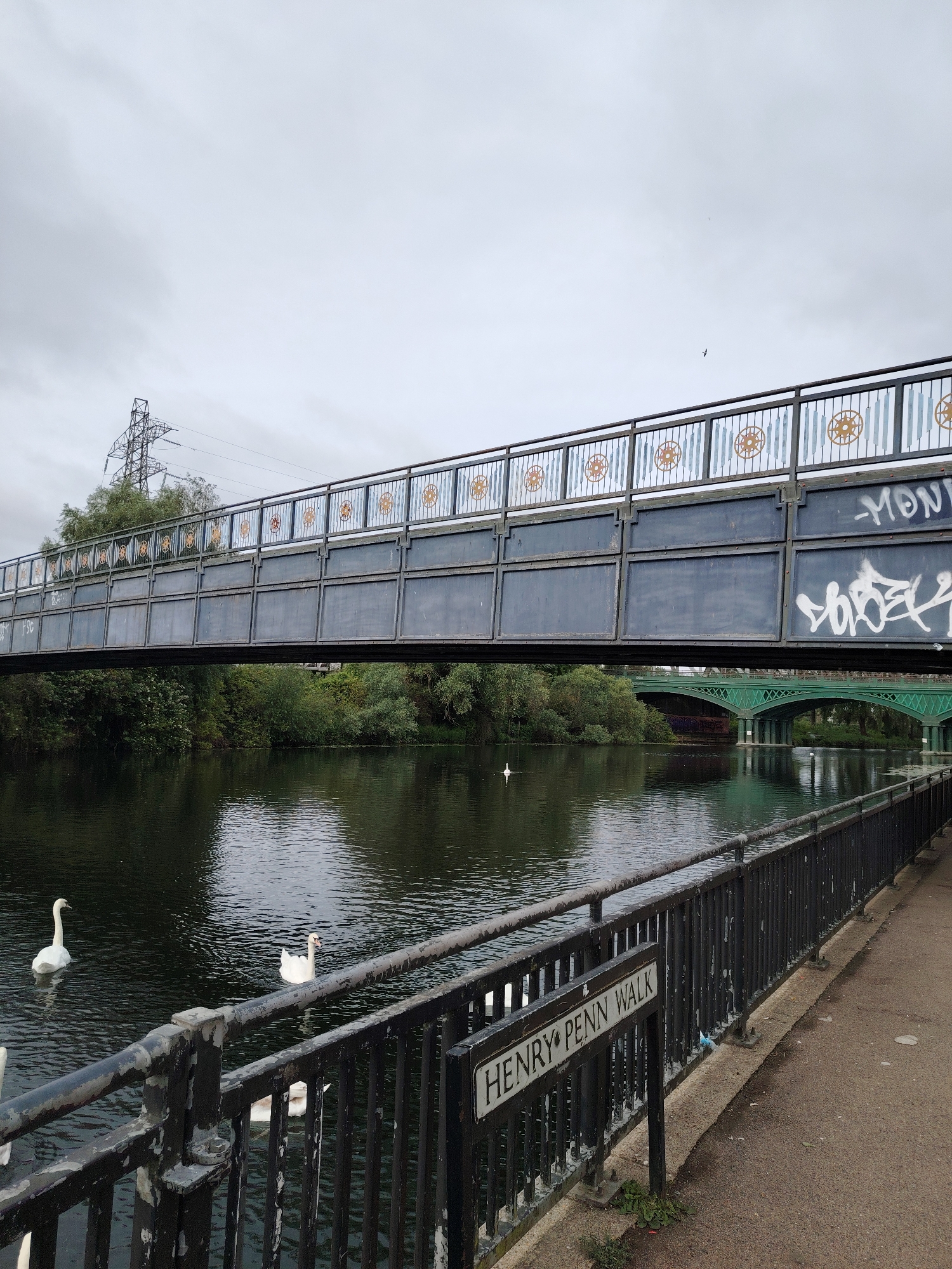 This image presents a detailed view of a riverine environment in Peterborough, United Kingdom, specifically along Henry Penn Walk, as indicated by the sign in the foreground.
The scene is dominated by a wide, dark body of water, the River Nene, flowing from left to right. The sky above is uniformly overcast and light grey, suggesting a cloudy day.
In the immediate foreground, a black metal railing extends along the right side of the frame, bordering a grey paved pathway. A rectangular white sign with black lettering, reading "HENRY PENN WALK," is affixed to this railing. Several white swans are present on the river, with two prominently positioned in the lower-left quadrant, and at least one more further downriver.
Spanning the river horizontally in the midground is a dark grey metal bridge, likely the Henry Penn Bridge. Its upper railing features repetitive decorative panels composed of a light background with vertical light blue stripes and circular gold-colored motifs resembling spoked wheels. The main structure of the bridge consists of solid grey metal panels. White and black graffiti is visible on the lower panels of the bridge's right side, including discernible letters such as "-MONI" and "SHØRËK".
Beyond this bridge, further along the river, a second, distinctly green arched metal bridge is visible. The riverbanks on both sides are densely covered with green trees and foliage. In the upper-left background, an electricity transmission pylon stands against the sky, and a small dark bird is discernible in flight in the upper-right section of the sky.