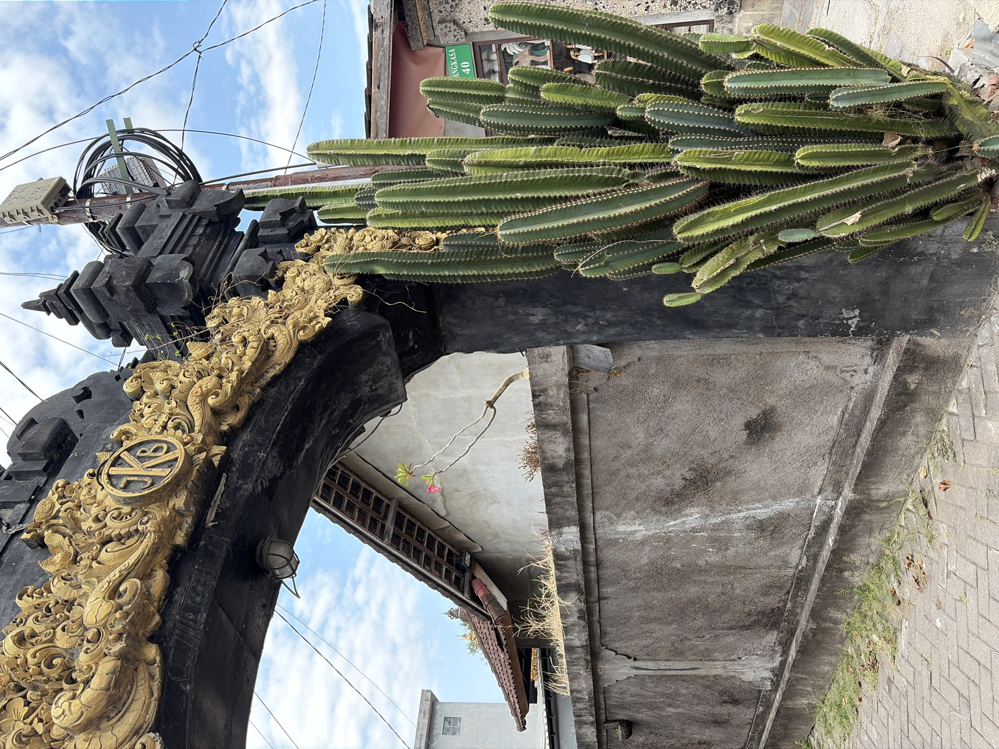 The image captures a street scene in Kuta, Indonesia, featuring a decorative archway and a tall cactus. The archway is ornate, with black stone pillars and golden, intricate carvings. A circular emblem with the letters "KB" is visible within the golden ornamentation. Below the arch, a light fixture is attached to the underside. To the right of the arch, a large, dense cactus plant with numerous green, spiky stems stands prominently. Behind the arch and cactus, a concrete wall is visible, with a traditional Balinese-style house and roof in the background. A small pink flower blooms on a thin branch extending from a tree against the wall. Electrical wires and a utility box are mounted on a pole near the archway. A green street sign with the text "ANGKASA 40" is affixed to a building on the right side of the frame. The ground in the foreground is paved with interlocking bricks. The sky above is blue with scattered white clouds.