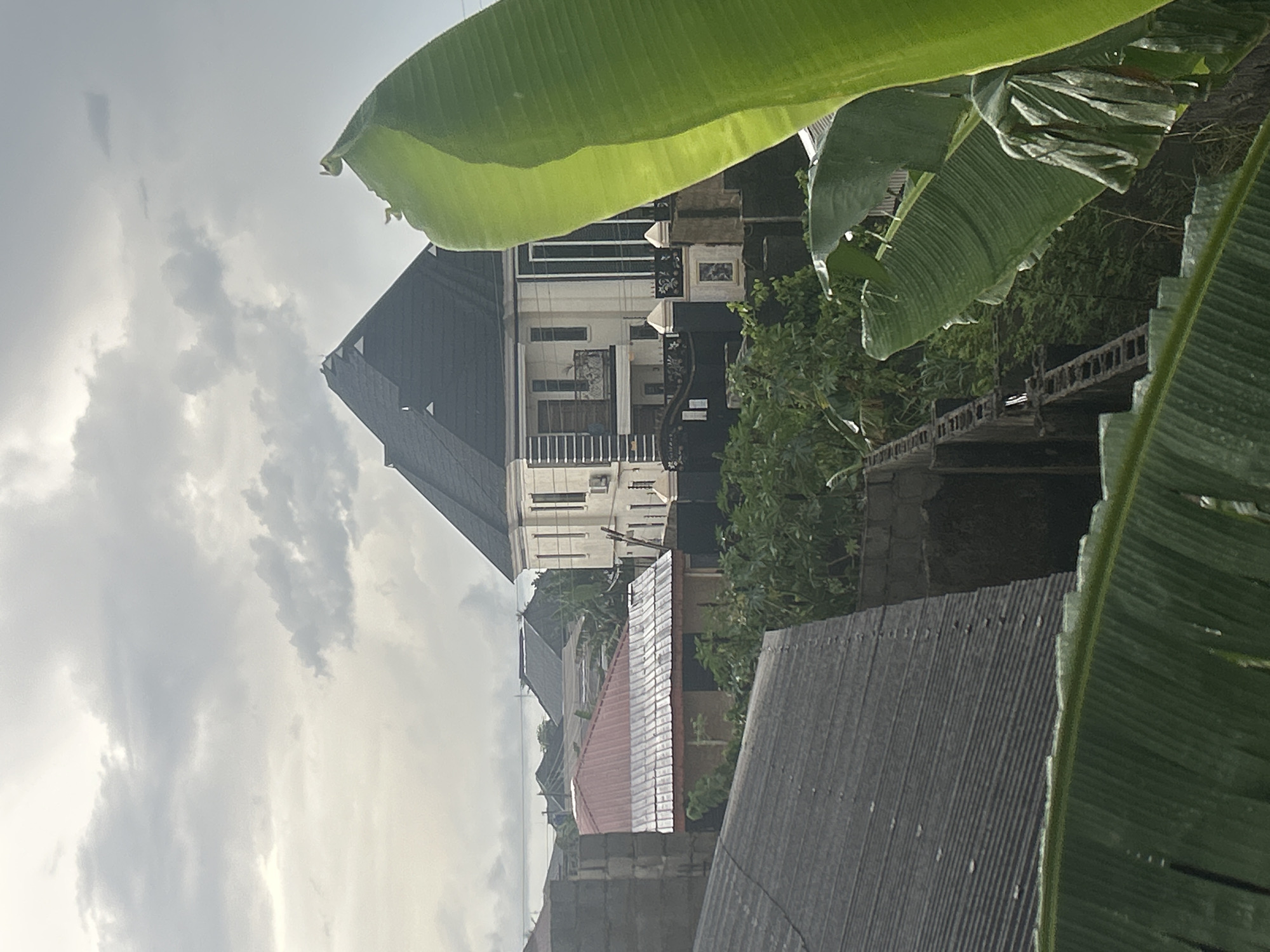 The image depicts a cityscape with a cloudy sky in an urban area, potentially in Unknown, Unknown. A large banana leaf occupies the foreground, partially obscuring the view. Several buildings are visible, including a tall, modern white building with black accents and a dark gray roof. Other structures feature corrugated metal roofs in gray and red. A variety of vegetation, including trees and shrubs, is interspersed among the buildings. A concrete structure resembling a bridge or walkway is present between buildings. The overall impression is one of a densely built-up residential or mixed-use area under overcast conditions.