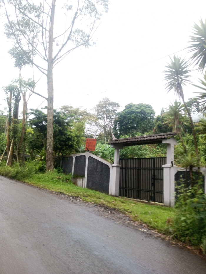 An outdoor scene presents a gray asphalt road in the foreground. Lush greenery flanks the road, leading to a gated entrance surrounded by foliage. The gate is composed of dark metal bars set between white pillars, with a gray stone wall extending on both sides. A sign is mounted above the wall. Beyond the gate, a thicket of trees rises against a cloudy sky.
