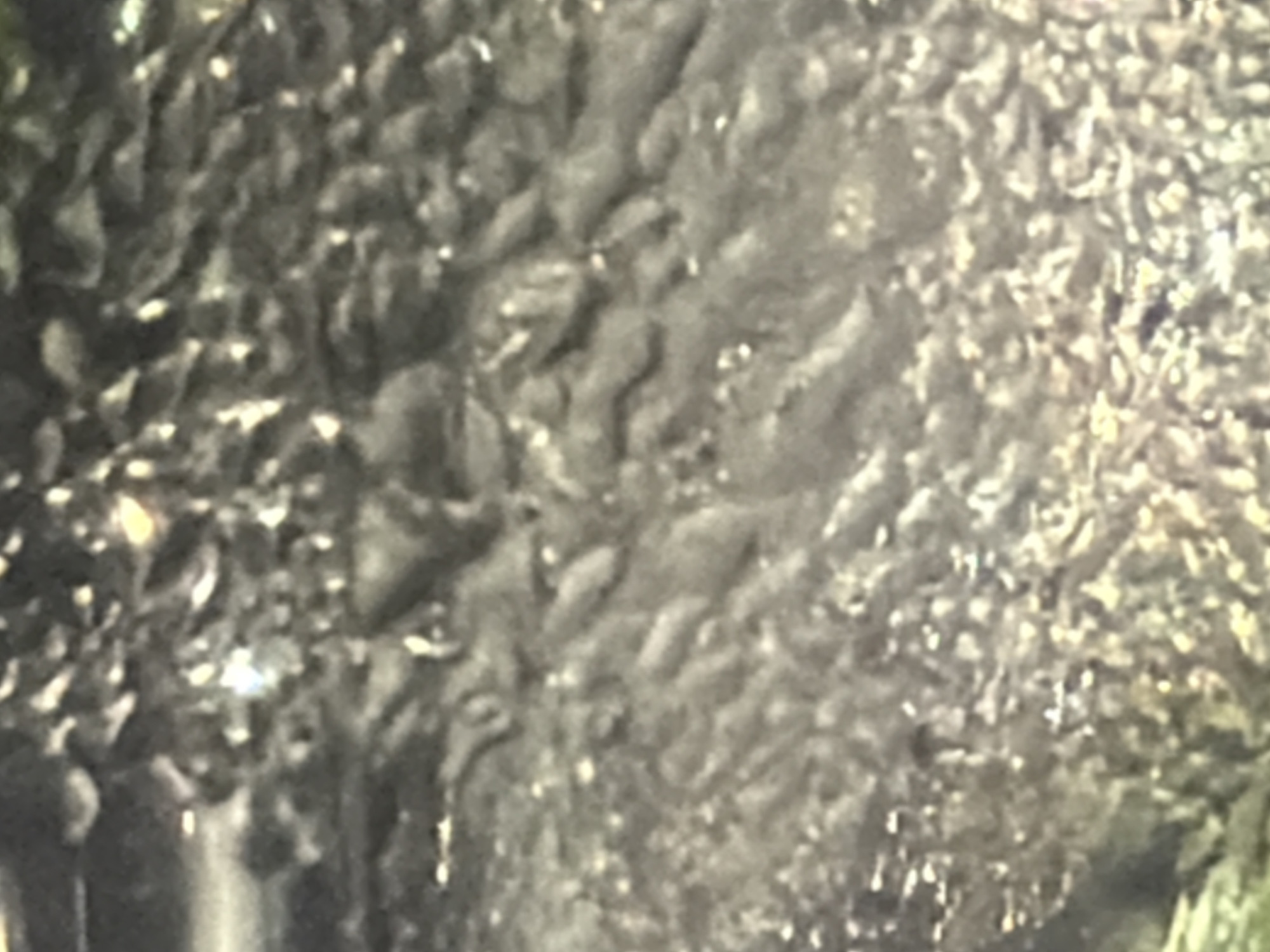 The image is a close-up, low-resolution, blurry photograph of a rough, textured surface. The surface appears to be dark gray or black with numerous small, irregular bumps and ridges. There are scattered highlights of white and yellow, possibly from light reflecting off water droplets or a glossy finish. The overall impression is of a coarse, uneven material, perhaps a natural rock formation, a textured wall, or even a close-up of an animal's skin. There is no identifiable environment or location within the city of Kaliningrad, Russia.