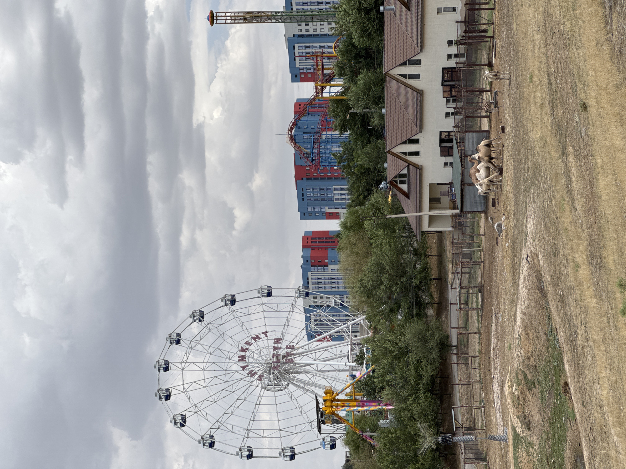 The image captures an outdoor scene at the Shymkent Zoo in Shymkent, Kazakhstan, on a cloudy day. In the background, a large Ferris wheel with "SHYMKENT" and "ALTYN EYE" written on it dominates the skyline, surrounded by amusement park rides like a roller coaster and a drop tower. Modern apartment buildings with blue and red facades are visible behind the amusement park. In the mid-ground, a building with a brown, gabled roof and several dormer windows stands. In front of this building is an enclosure containing several camels and one zebra, suggesting they are part of a zoo exhibit. The foreground consists of dry, grassy terrain, typical of a zoo environment or an arid climate. The overall atmosphere is that of a recreational park mixed with a zoo.