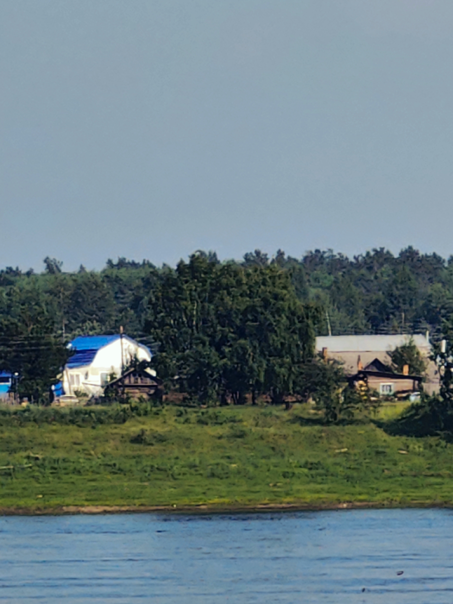 The image shows a rural landscape in Potapovo, Russia. A body of water is in the foreground, with a green, grassy embankment rising behind it. On the embankment, several houses are visible, nestled among dense green trees. One house in the left-center of the image has a white body and a bright blue roof. Another house to its right appears to be a lighter color with a grey roof and visible chimneys. The background is filled with a wall of green trees. The sky above is a pale, clear blue. The overall scene depicts a tranquil, possibly summer day in a rural Russian setting.