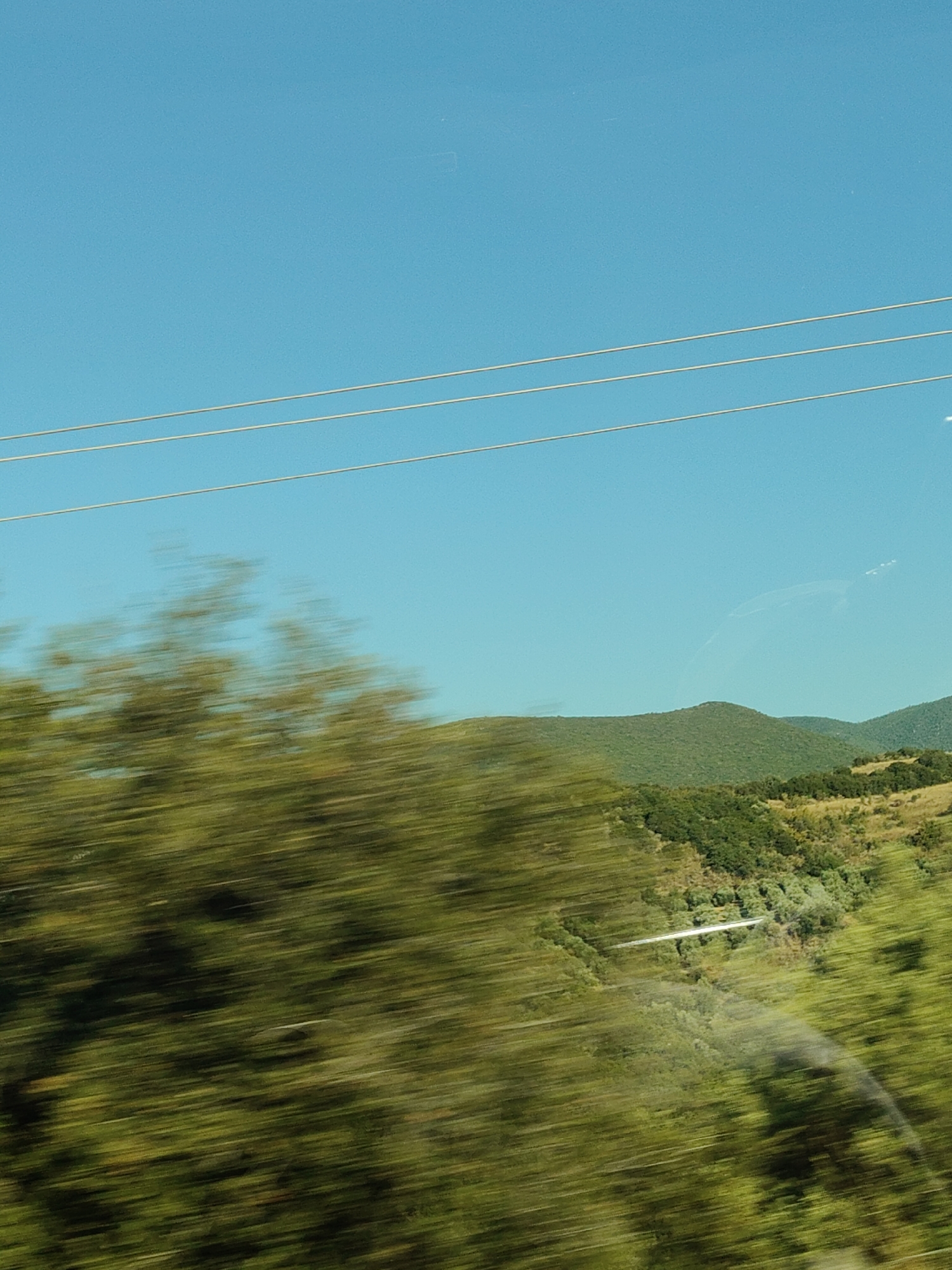 The image shows a landscape viewed from a moving vehicle, likely a car, as indicated by the motion blur. The scene is dominated by rolling green hills covered in vegetation, with some trees and shrubs visible. In the foreground, there is a blurred mass of green, suggesting closer trees. In the distance, the hills are more defined, with patches of lighter green indicating dry grass or scrub. Above the hills, a clear blue sky is visible, with three thin, light-colored lines running horizontally across the upper portion of the image, which appear to be power lines or wires. There are no people or animals visible in the image. The location is identified as Municipal Unit of Pteleos, Greece, suggesting a rural or semi-rural setting within this region. The time of day appears to be daytime due to the bright sky and clear visibility.
