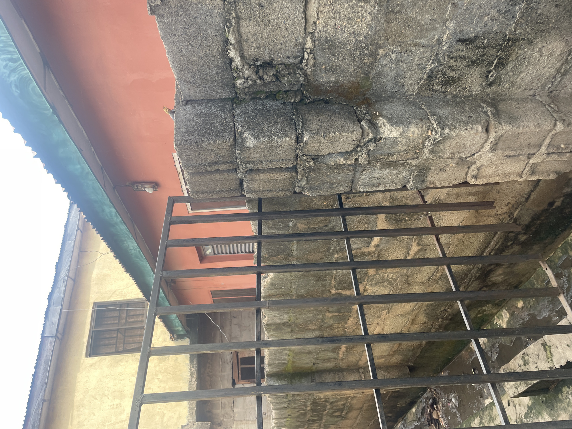 This is a medium shot, eye-level, outdoor, daytime photograph taken in Lokoja, Nigeria. The scene depicts a narrow passage between two buildings, viewed through a black metal gate. On the left, a beige-colored building with a corrugated metal roof and a window is visible. On the right, a predominantly orange building with a green corrugated metal roof and a window is shown. A grey concrete block wall runs along the right side of the passage, and a small, bright yellow lizard is perched on top of this wall, looking towards the left. The ground within the passage appears to be wet and contains some debris. The overall impression is one of an urban back alley or service area.