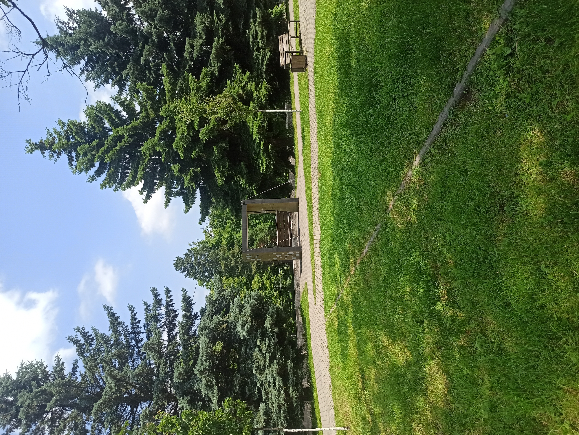 An outdoor scene depicts a park with lush green grass and tall evergreen trees under a blue sky with scattered white clouds. A paved walkway curves through the park, leading to a wooden bench and a trash receptacle on the right side of the image. In the center of the scene, a modern-looking sculpture or seating area with a grey concrete structure and suspended seating is visible. The ground is a mix of grass and paved surfaces.