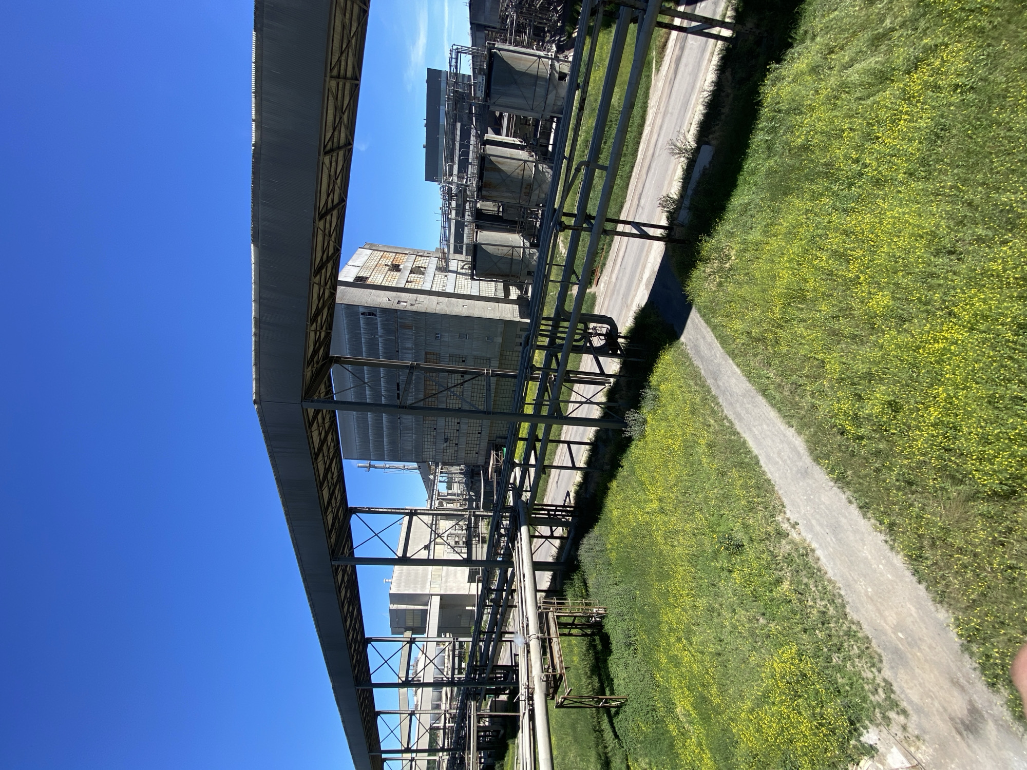 The image depicts an industrial complex on a clear, sunny day. A large, covered conveyor belt structure dominates the foreground, supported by metal beams. Beneath this structure, various pipes and industrial buildings are visible. In the middle ground, there are several large cylindrical tanks and a tall, multi-story building with a weathered facade. A paved road runs through the industrial area. The ground is covered in lush green grass dotted with numerous small yellow flowers, suggesting a rural or semi-rural setting. The sky is a vibrant, cloudless blue. There are no people visible in the image. The overall scene is one of industrial infrastructure surrounded by natural vegetation. Based on the provided information, the location is the city of Police, Poland.