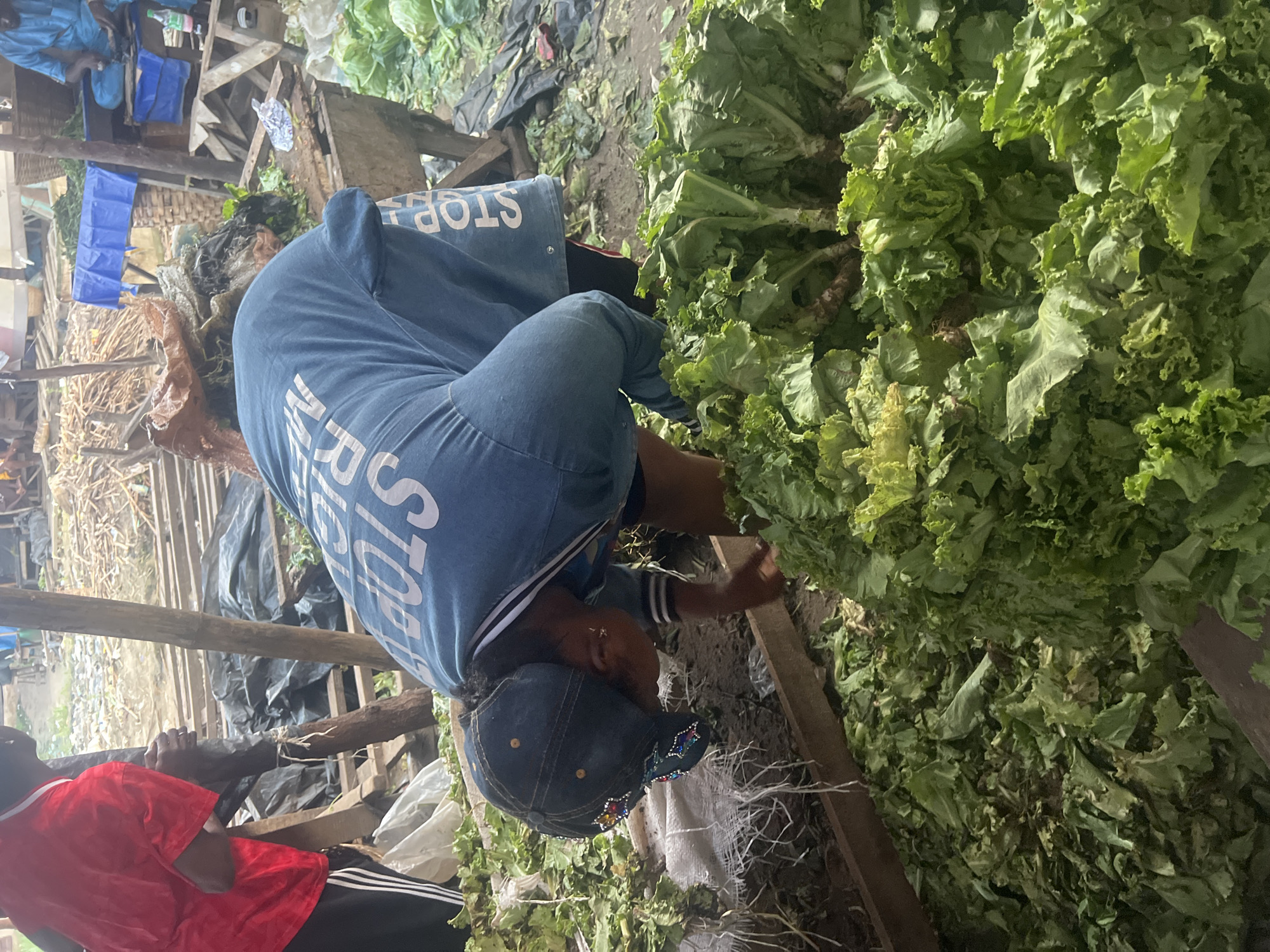 This image depicts an outdoor market scene in Asaba, Nigeria, likely a produce stall. A person, wearing a blue hooded jacket with white lettering that reads "STOP," and a denim cap adorned with colorful star-shaped rhinestones, is bent over, appearing to sort through a large pile of green leafy vegetables, possibly lettuce, that fill the foreground. The person's hands are visible amongst the vegetables. To the left, another individual is partially visible, wearing a red shirt and dark pants. The background reveals a bustling market environment with wooden stalls, piles of wood, and other market activities. The ground is a mix of dirt and scattered leaves, with some plastic sheeting visible. The overall impression is one of a typical day at a local Nigerian market.