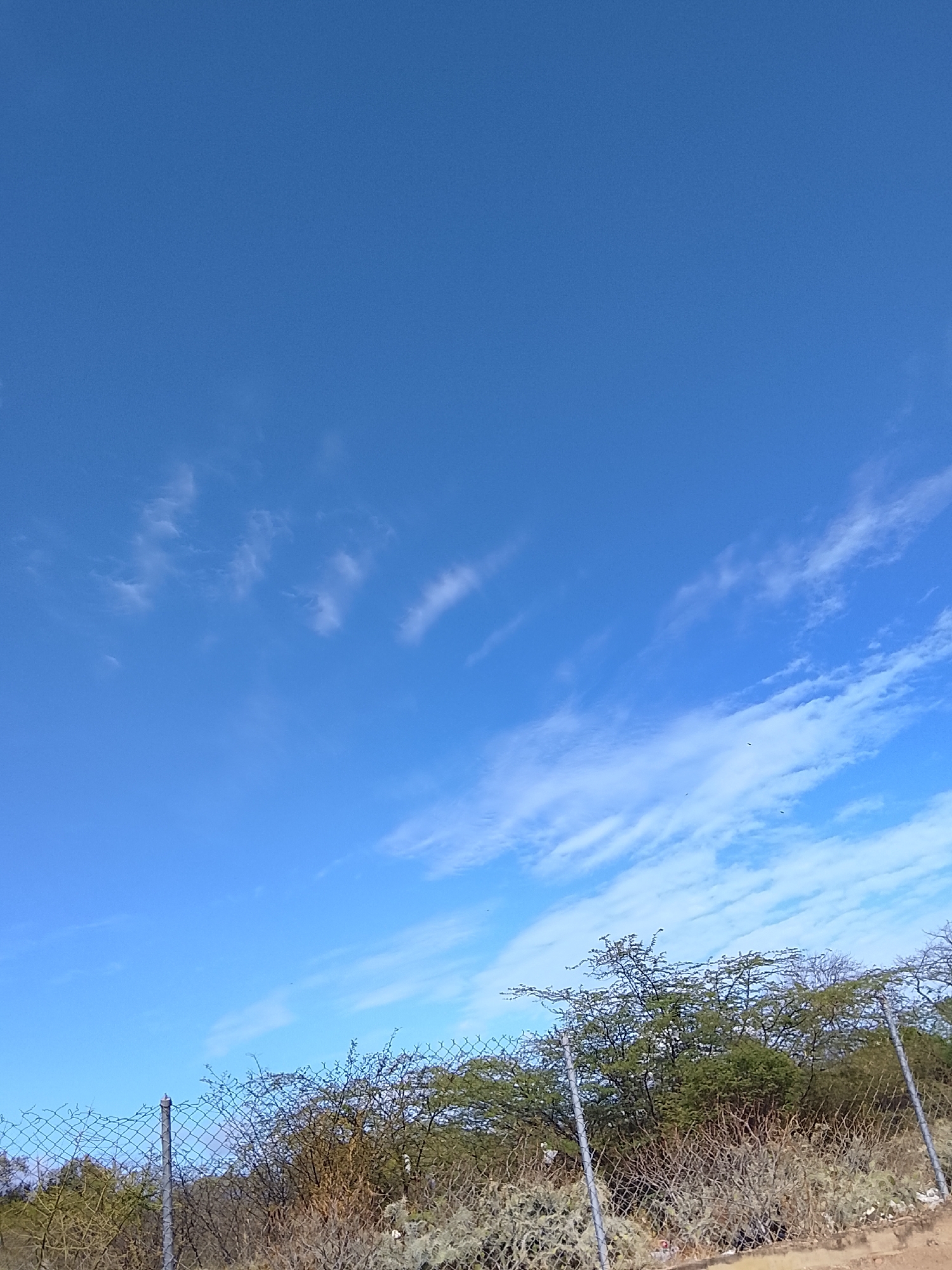 The image shows a view of the sky in Altagracia, Venezuela. The sky is predominantly blue with some scattered cirrus clouds. In the lower part of the frame, there is a chain-link fence, behind which are shrubs and trees. The vegetation appears somewhat dry, suggesting an arid climate.