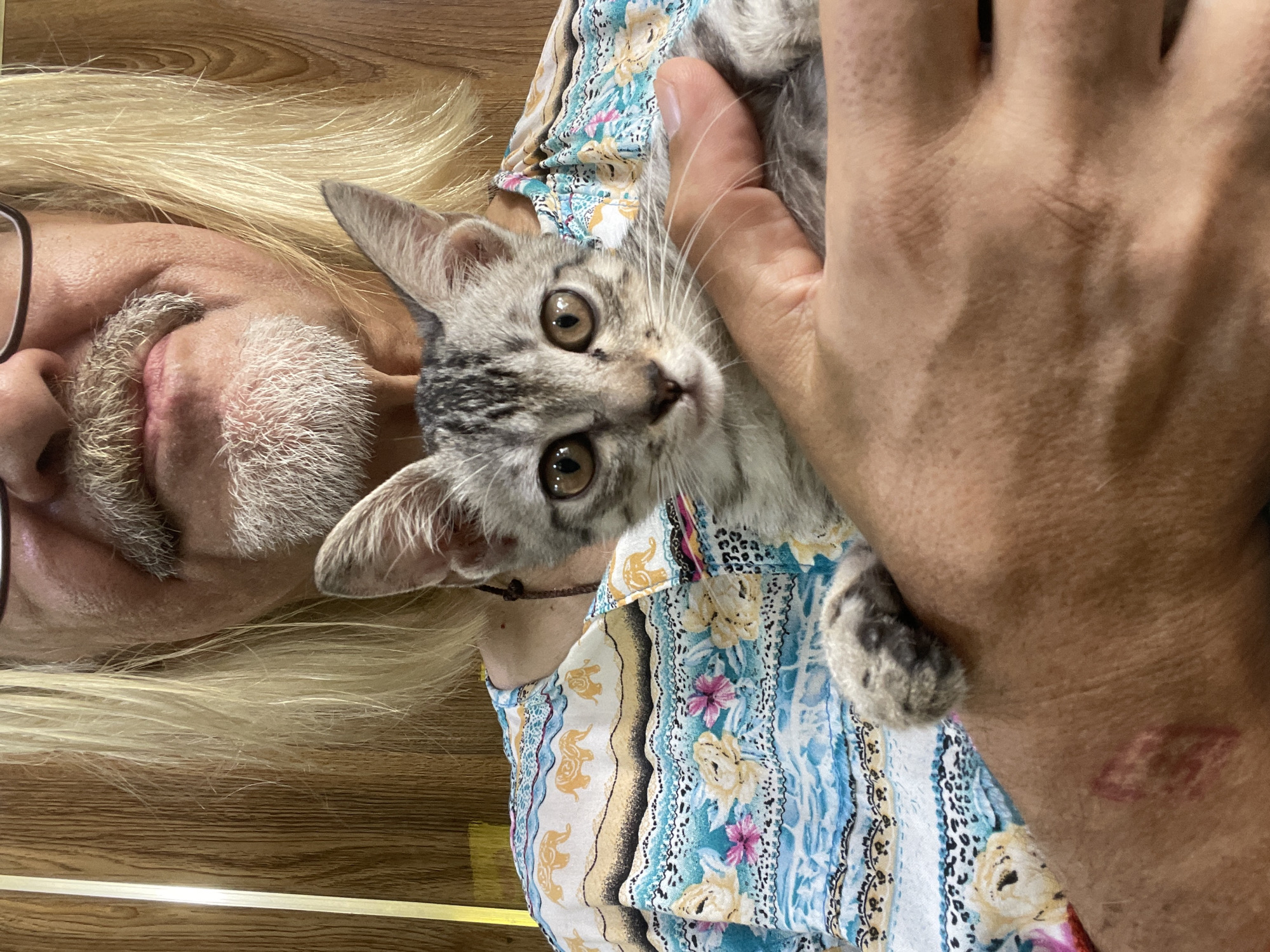 A close-up, vertically oriented shot shows a person and a kitten. The person, with long blonde hair and a light-colored beard, is partially visible from the side, wearing glasses and a patterned shirt. The kitten, with gray tabby markings and large brown eyes, is held in the person's arms, looking directly at the camera. The kitten wears a small brown cord around its neck. The background consists of a wooden surface, suggesting an indoor setting. The overall mood appears calm and affectionate, with the person gently holding the kitten. No text is visible in the image. The provided location context is Thủ Đức, Vietnam.