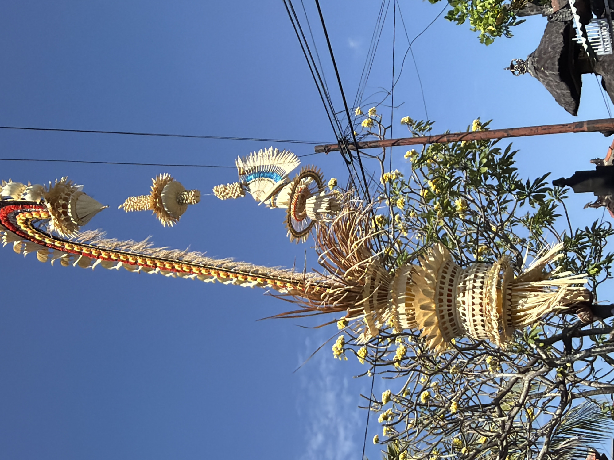 The image captures a clear blue sky over Kuta Selatan, Indonesia, with a traditional Balinese *penjor* prominently displayed. The *penjor*, a tall, curved bamboo pole adorned with woven palm leaves, fruits, and flowers, is a common sight during religious ceremonies. This particular *penjor* features several decorative elements hanging from it, including intricately woven baskets and what appear to be stylized depictions of birds or feathers.
Below the *penjor*, a frangipani tree with yellow blossoms adds a touch of natural beauty to the scene. The tree's branches, somewhat gnarled, are intertwined with the lower part of the *penjor*. Overhead, power lines stretch across the sky, a stark contrast to the traditional Balinese artistry. In the lower portion of the image, a glimpse of traditional Balinese architecture is visible, with a thatched roof and ornate detailing on a stone structure, suggesting the *penjor* is likely placed in front of a temple or a residential compound. The overall impression is one of vibrant cultural expression set against a bright, sunny day. There are no people visible in the image.