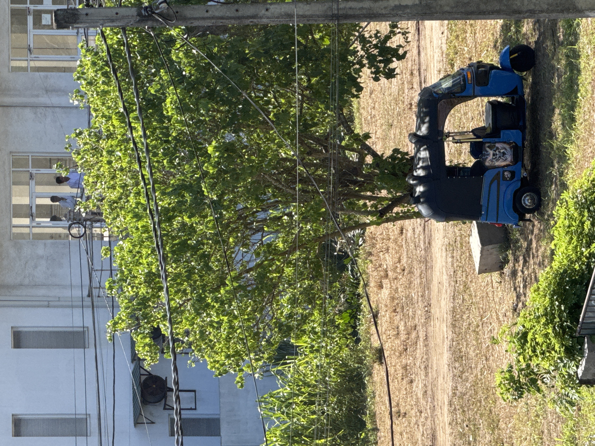 In Goviyapana, Sri Lanka, a bright blue auto-rickshaw is parked on a dirt path near a large green tree. The auto-rickshaw has a black fabric roof and features a graphic design on its side. Behind the tree, a modern building with large windows and a light-colored facade is visible. Several people are standing on a balcony or in an upper-story window of the building. Power lines crisscross the scene, strung between a utility pole on the right and the building on the left. The ground is covered with dry grass and sparse vegetation, suggesting a warm, possibly arid climate. The overall impression is an everyday street scene in a Sri Lankan town, with elements of both traditional transportation and modern infrastructure.