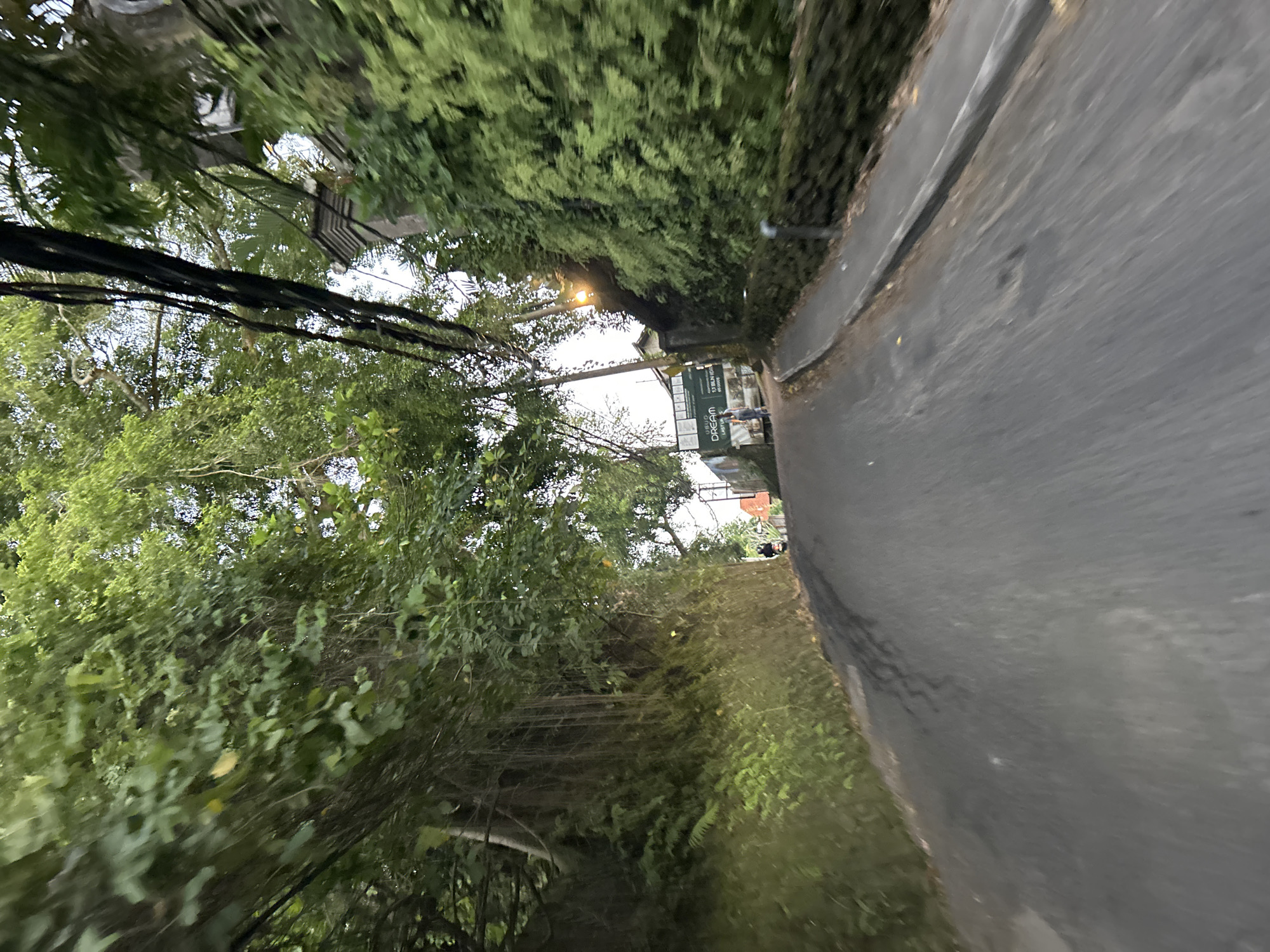 The image captures a downward-sloping paved road in Ubud District, Indonesia, bordered by dense green vegetation on both sides. The road appears to be a street lined with trees and foliage, with electrical wires visible overhead. In the distance, a building with a sign reading "DREAM" is partially visible, along with two individuals walking on the sidewalk. A motorcyclist is also seen on the road. The overall scene suggests a residential or commercial street in a lush, tropical environment.