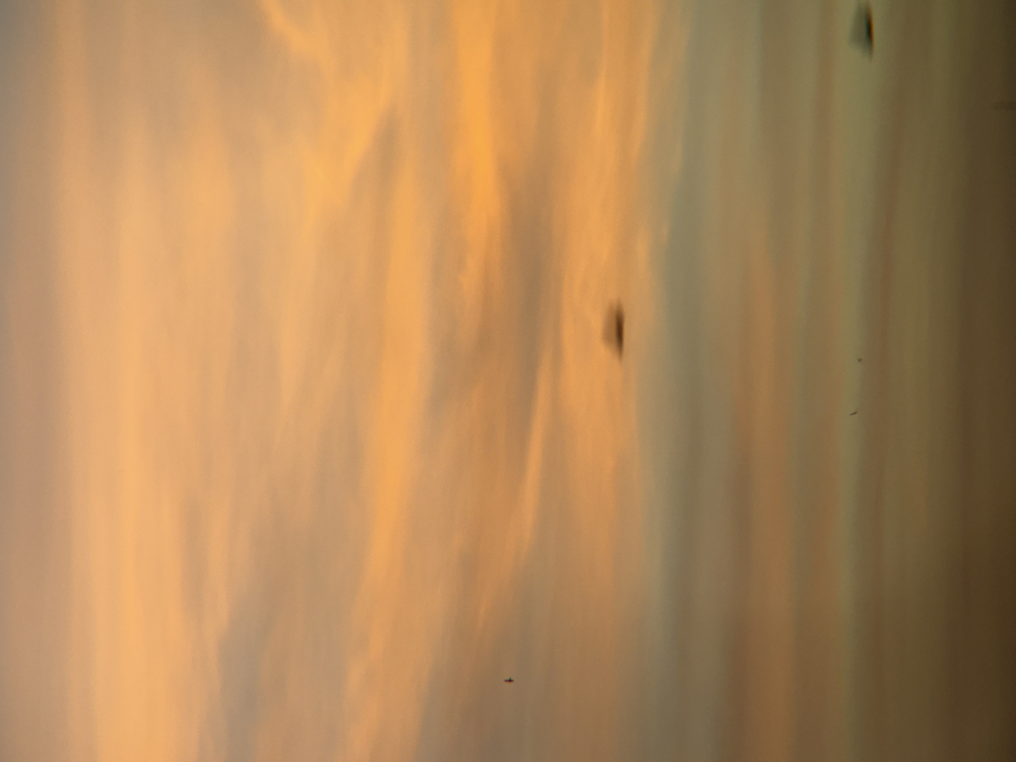 A low-angle, vertical, full shot captures a hazy sunset sky with predominantly orange and yellow hues, tinged with some muted blues and grays. The sky is filled with wispy, diffused clouds that create a soft, atmospheric effect. There are several small, dark, indistinct shapes scattered throughout the sky, which appear to be birds in flight, though their details are blurred due to distance and motion. One such shape, appearing as a small black speck, is visible in the lower right corner of the frame. The image evokes a sense of calm and the vastness of the sky. This scene is consistent with the atmospheric conditions of a sunset in Nha Trang, Vietnam, a coastal city known for its beaches and scenic sunsets.