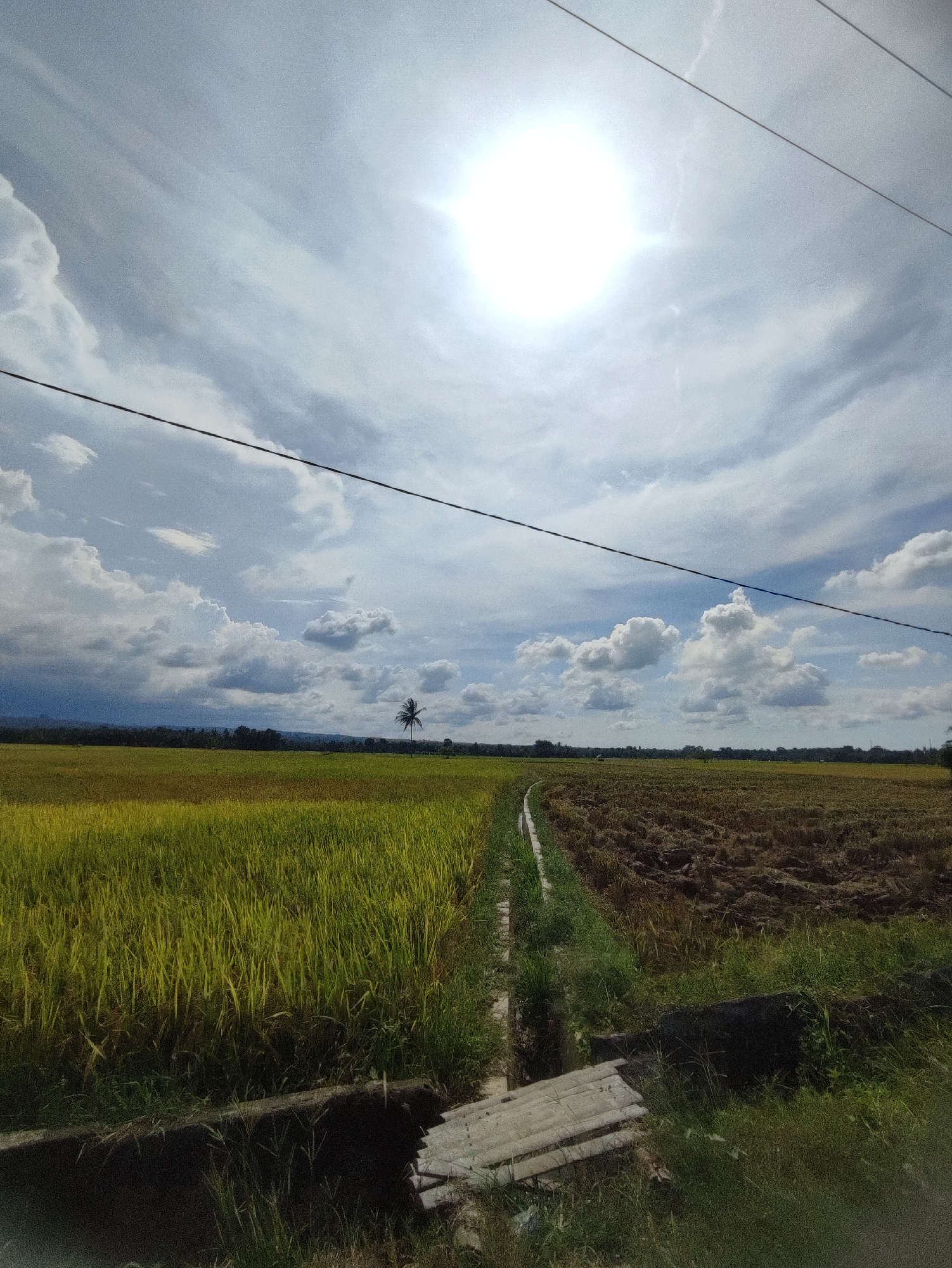 The image depicts a rural landscape in Meunasahkumbang, Indonesia. A split field is visible, with ripe, yellowing grain on the left and freshly plowed, dark earth on the right. A narrow concrete irrigation ditch separates the two sections, crossed by a simple wooden bridge overgrown with vegetation. In the background, a lone palm tree stands near a line of trees, with distant hills on the horizon. The sky is filled with a mix of bright sunlight and billowing clouds, with utility wires cutting across the top of the frame. No people are visible.