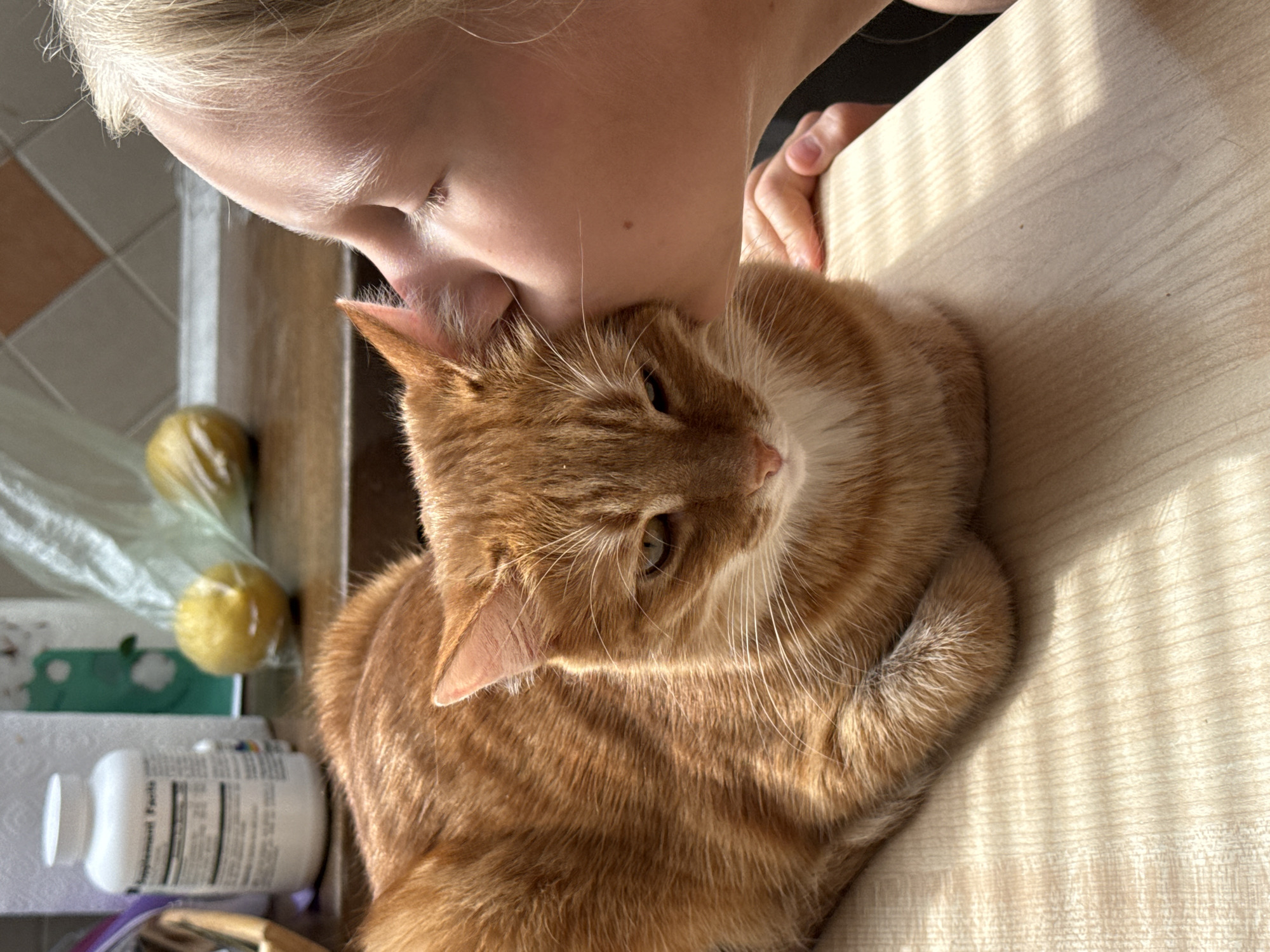 A young, light-skinned individual with blonde hair is nuzzling the head of an orange tabby cat that is sitting on a light-colored, wooden-patterned surface. The person is positioned towards the upper left of the frame, while the cat occupies the center and right. The scene appears to be indoors with evidence of a kitchen counter or table in the background, including what looks like lemons in a plastic bag and a bottle of dietary supplements. The photograph is taken at close range with a focus on the interaction between the person and the cat. It cannot be determined if this photo was taken in Chaikovsky, Russia.